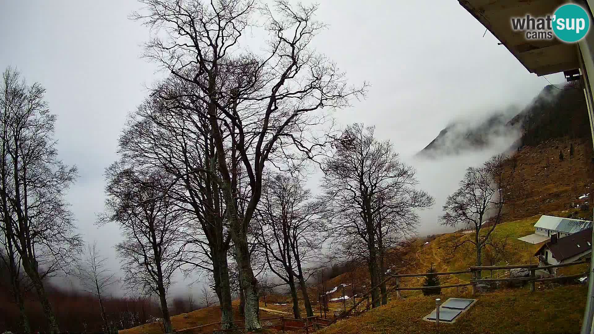 Planina Razor Bergütte Webcam (1315) | Blick auf Tolminski Migovec