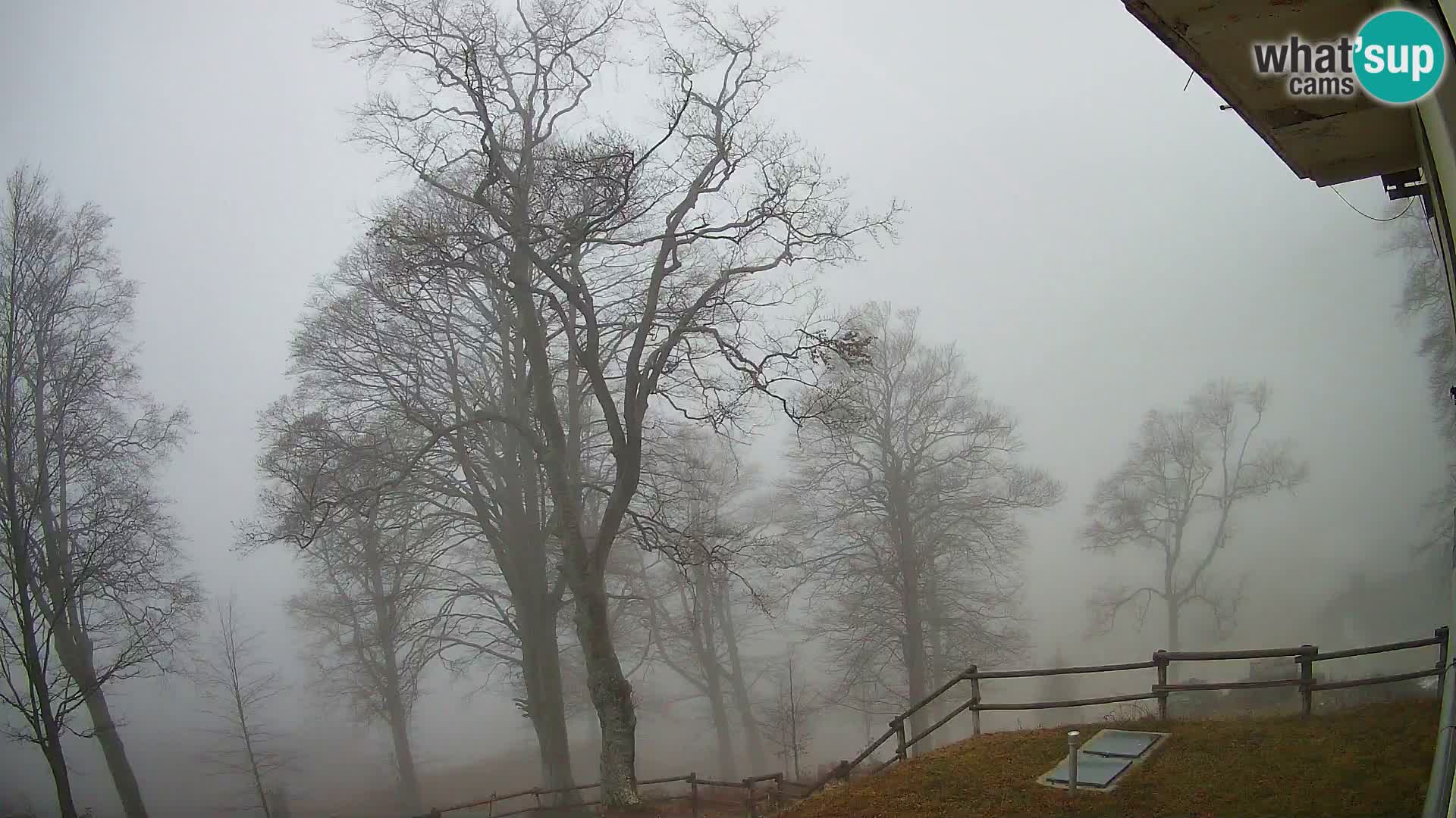 Refuge de la montagne Planina Razor caméra en direct (1315) | vue sur Tolminski Migovec