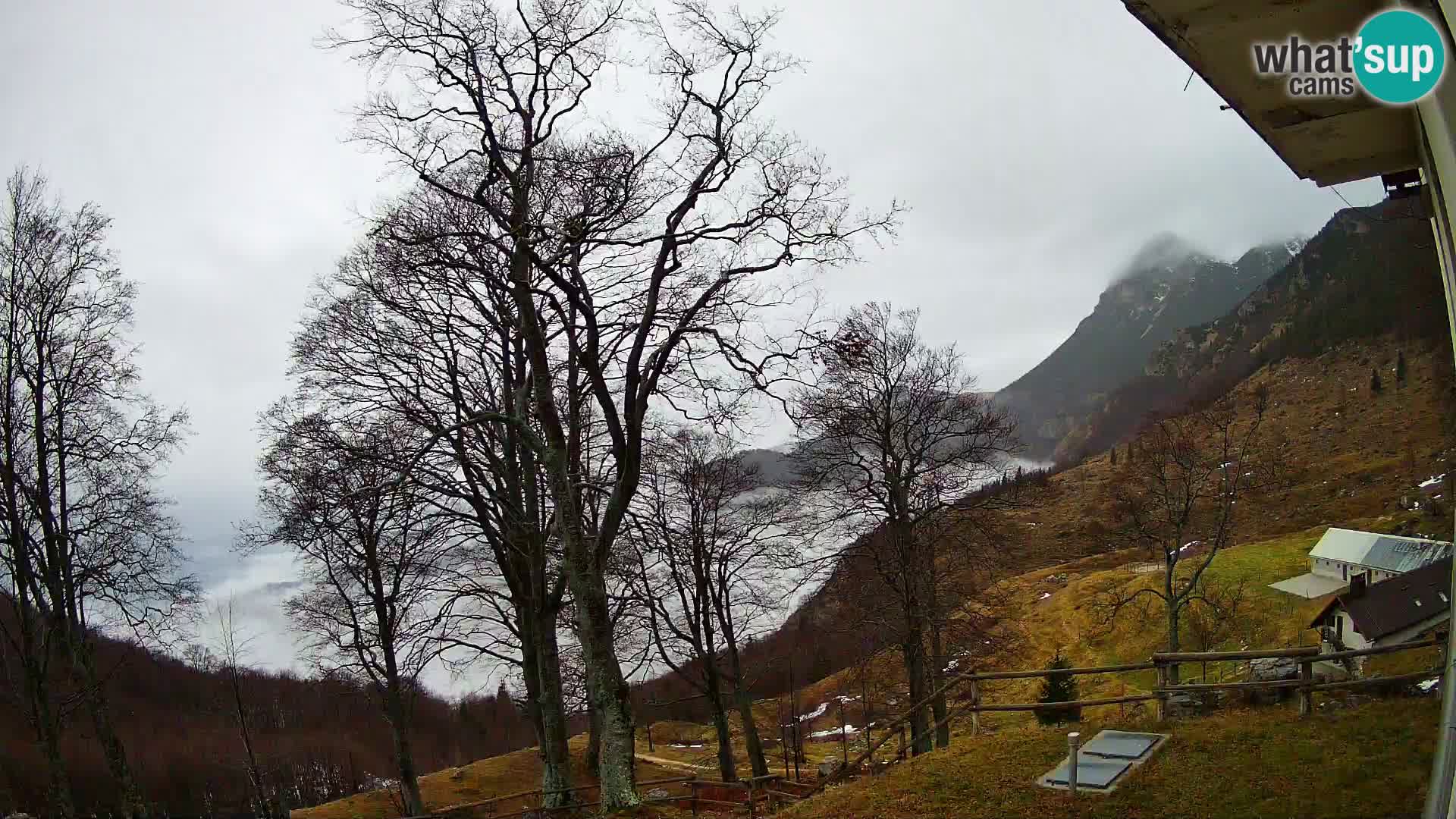 Refuge de la montagne Planina Razor caméra en direct (1315) | vue sur Tolminski Migovec