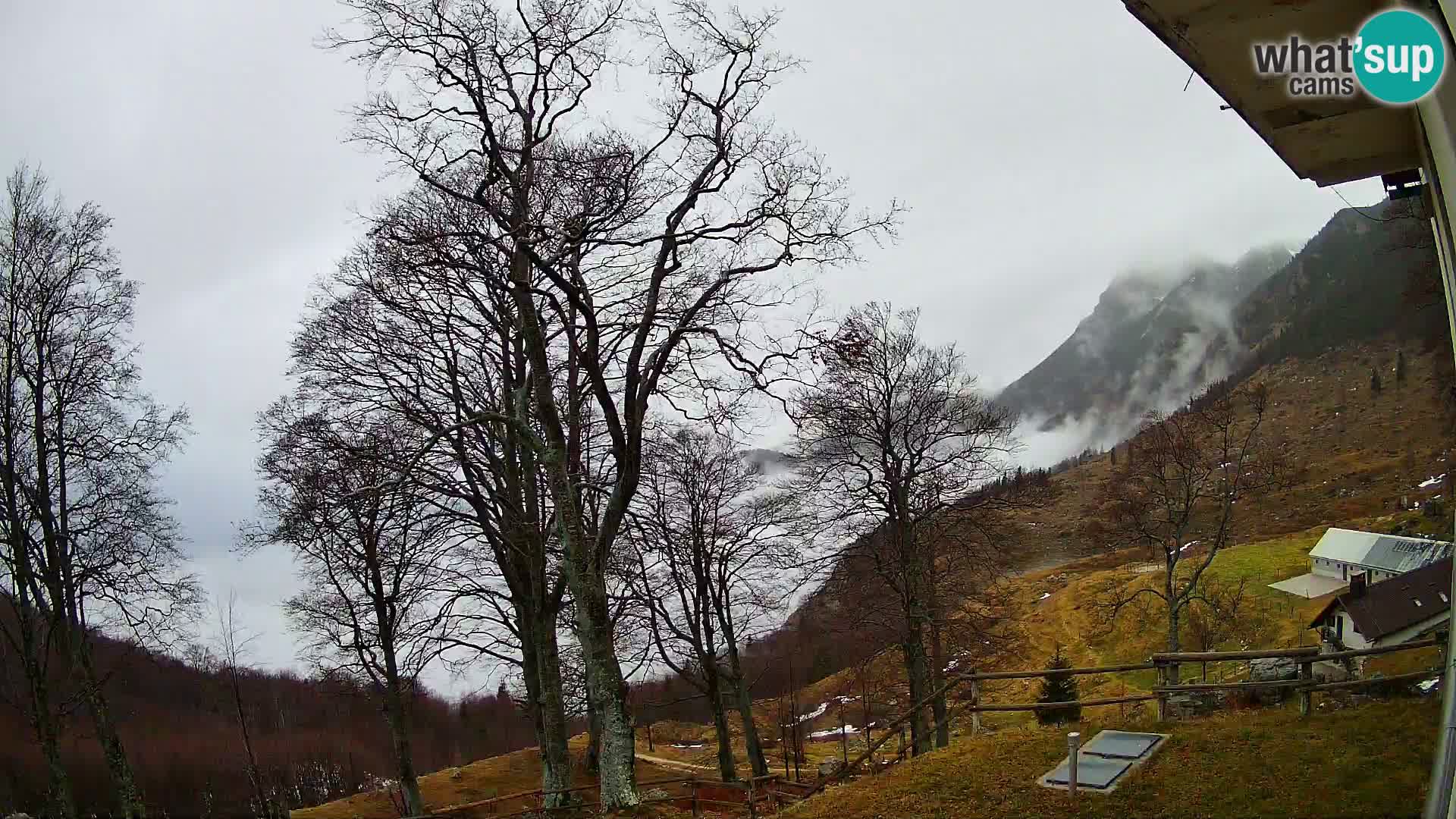 Refuge de la montagne Planina Razor caméra en direct (1315) | vue sur Tolminski Migovec