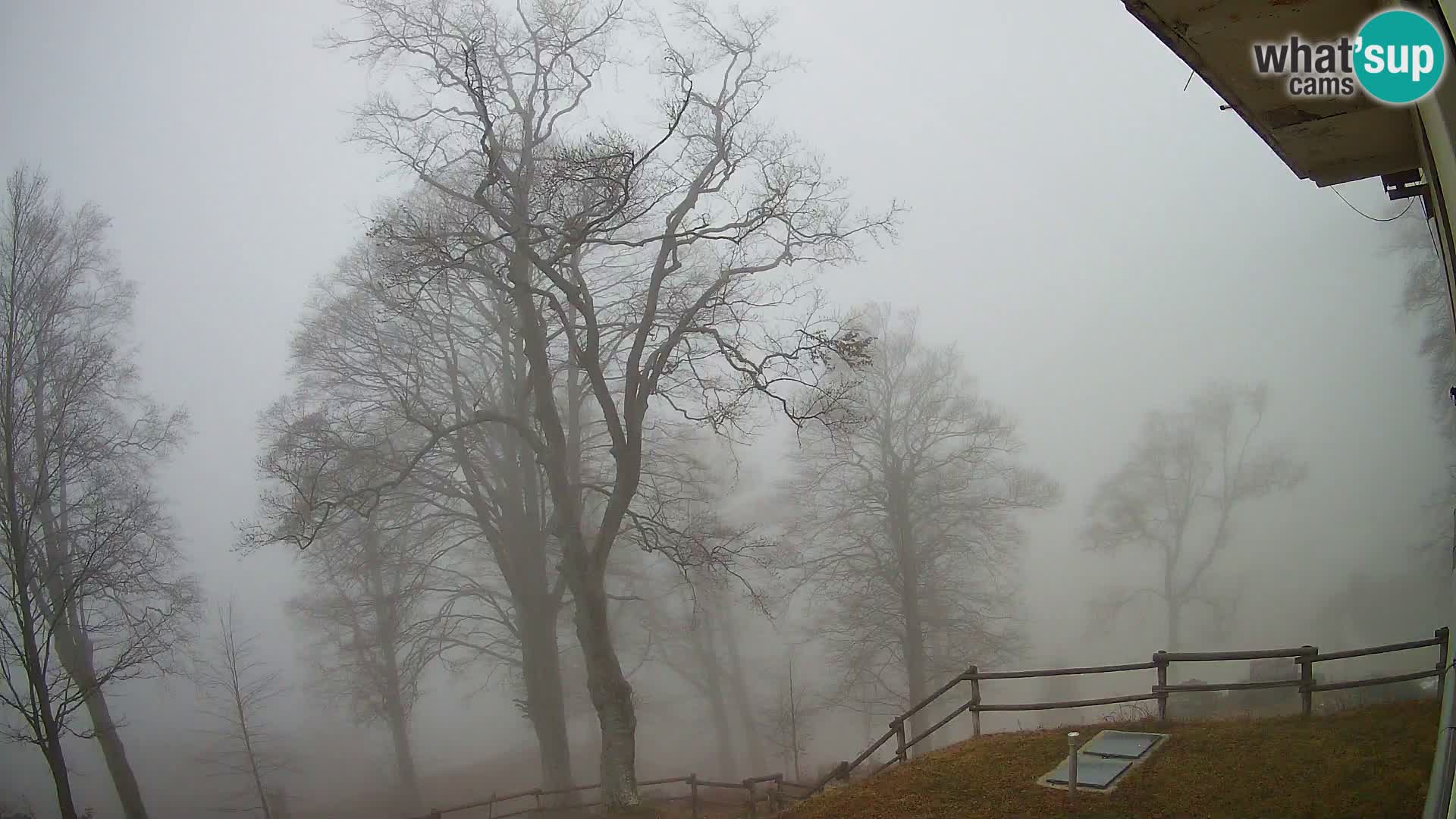 Refuge de la montagne Planina Razor caméra en direct (1315) | vue sur Tolminski Migovec