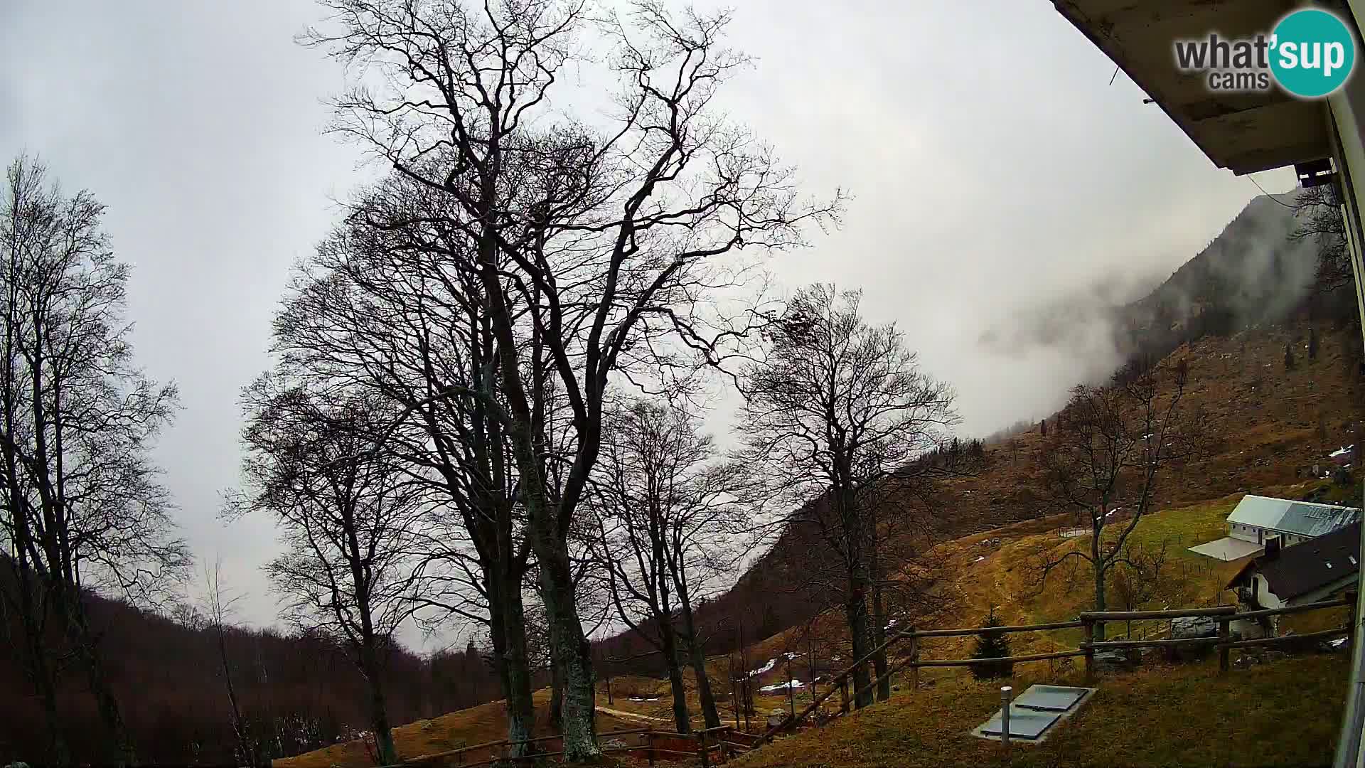 Planina Razor Mountain Hut live cam (1315) | view to Tolminski Migovec