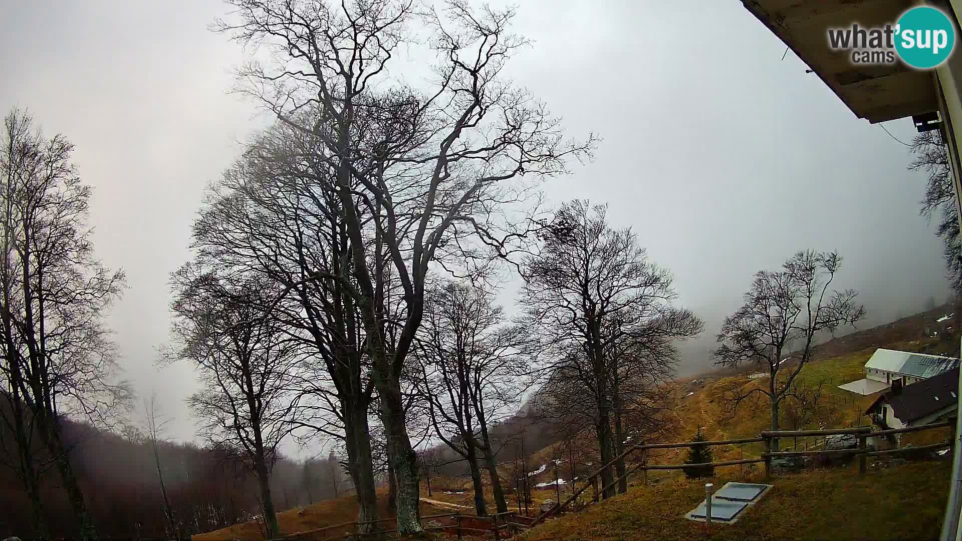 Planina Razor Mountain Hut live cam (1315) | view to Tolminski Migovec