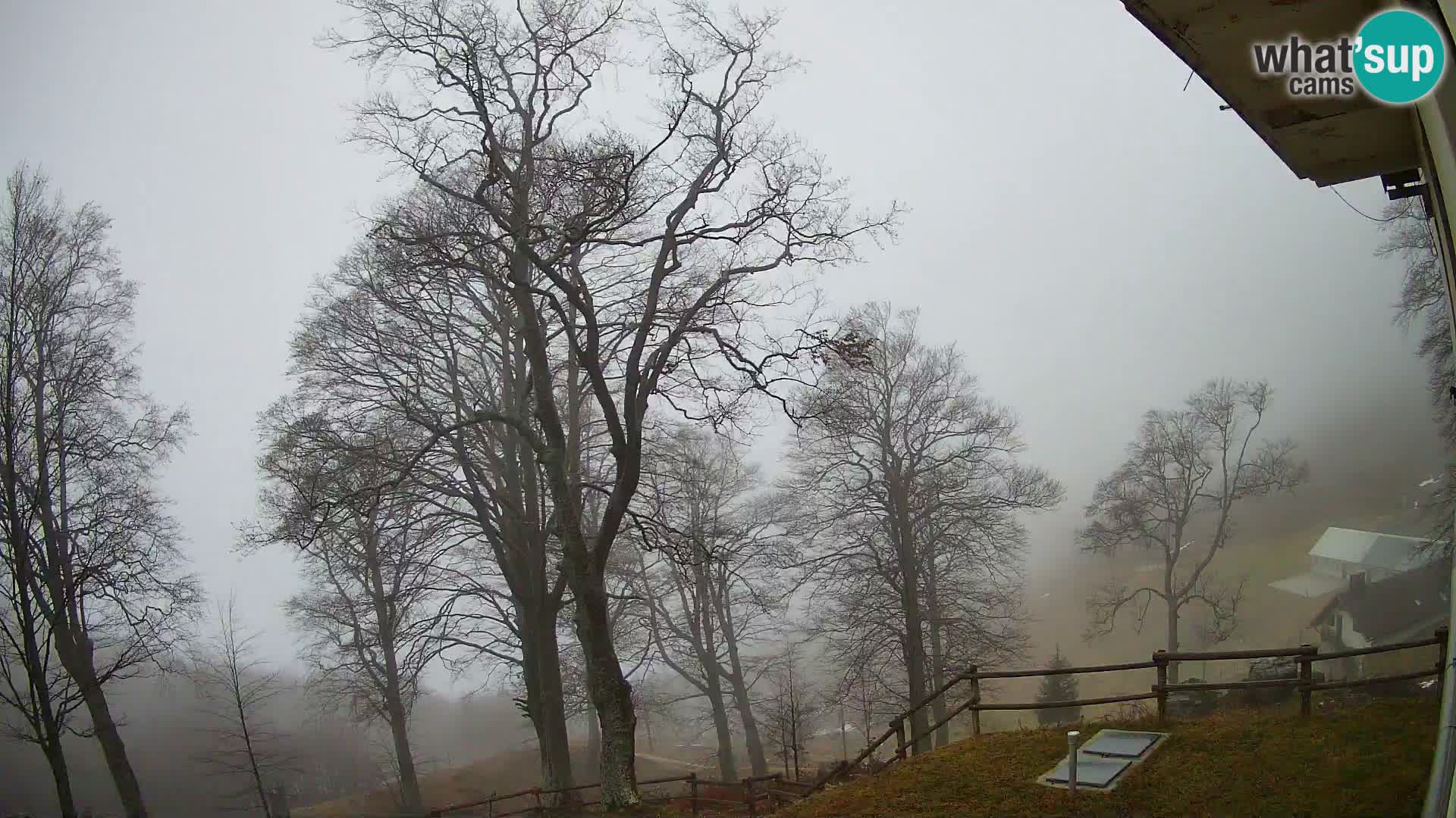 Cámara en vivo de la cabaña de montaña Planina Razor (1315) | vista hacia Tolminski Migovec