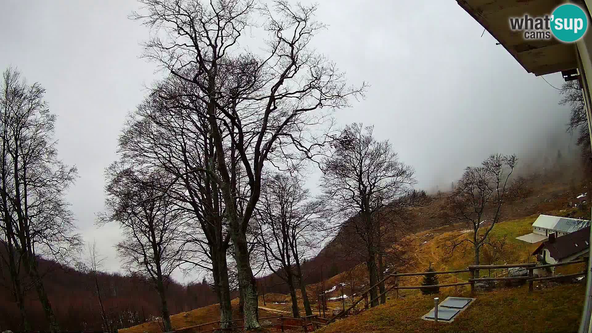 Planina Razor Bergütte Webcam (1315) | Blick auf Tolminski Migovec