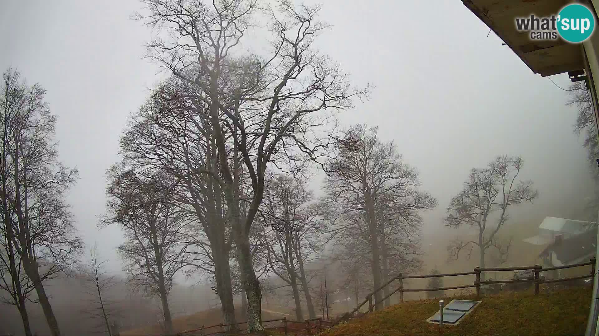 Baita di montagna Planina Razor webcam (1315) | vista su Tolminski Migovec