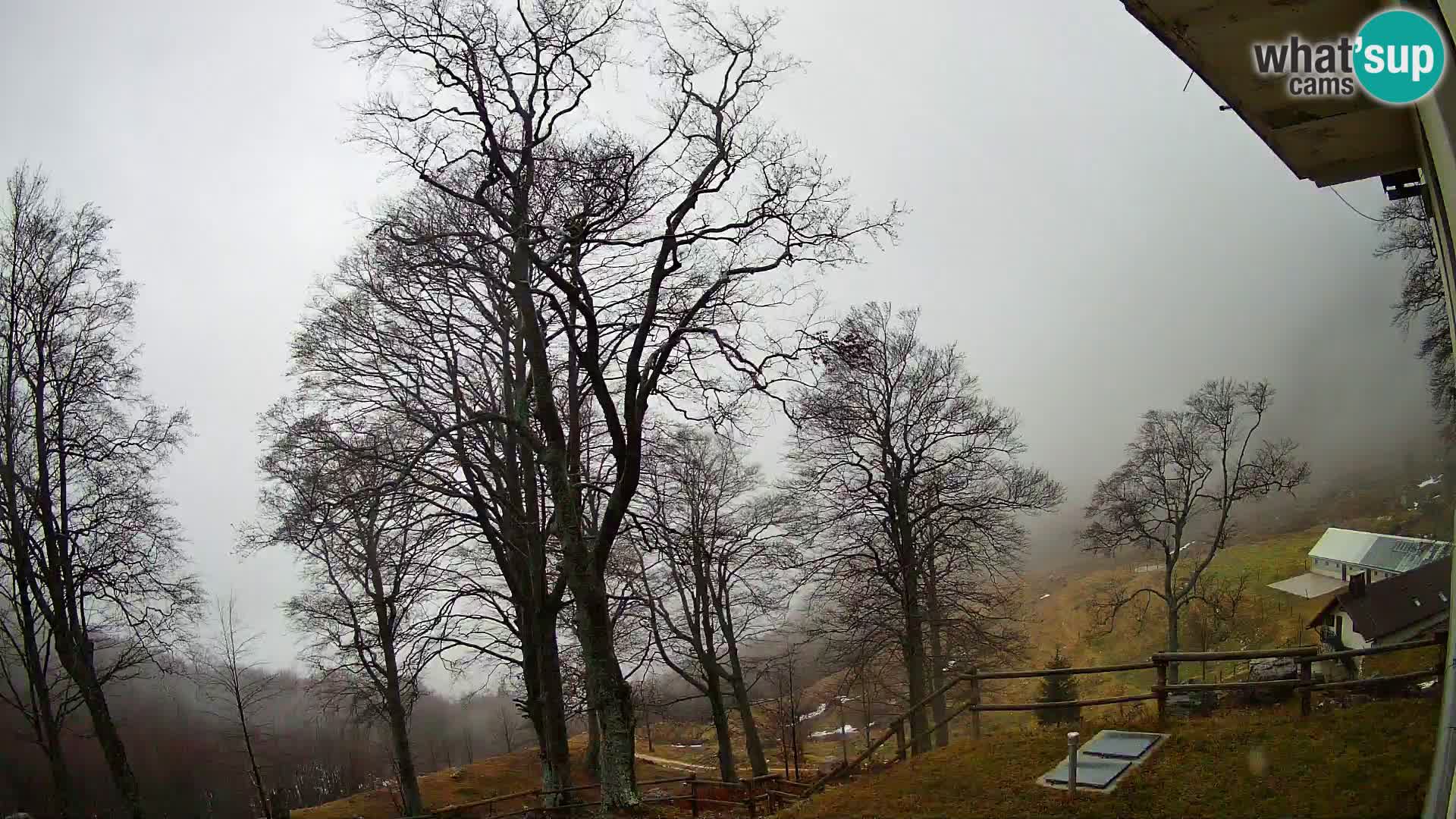Planina Razor Bergütte Webcam (1315) | Blick auf Tolminski Migovec