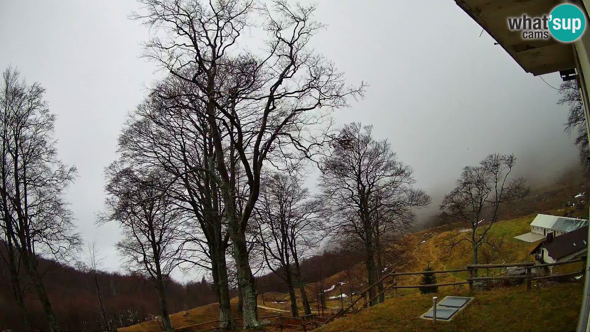 Planina Razor Bergütte Webcam (1315) | Blick auf Tolminski Migovec
