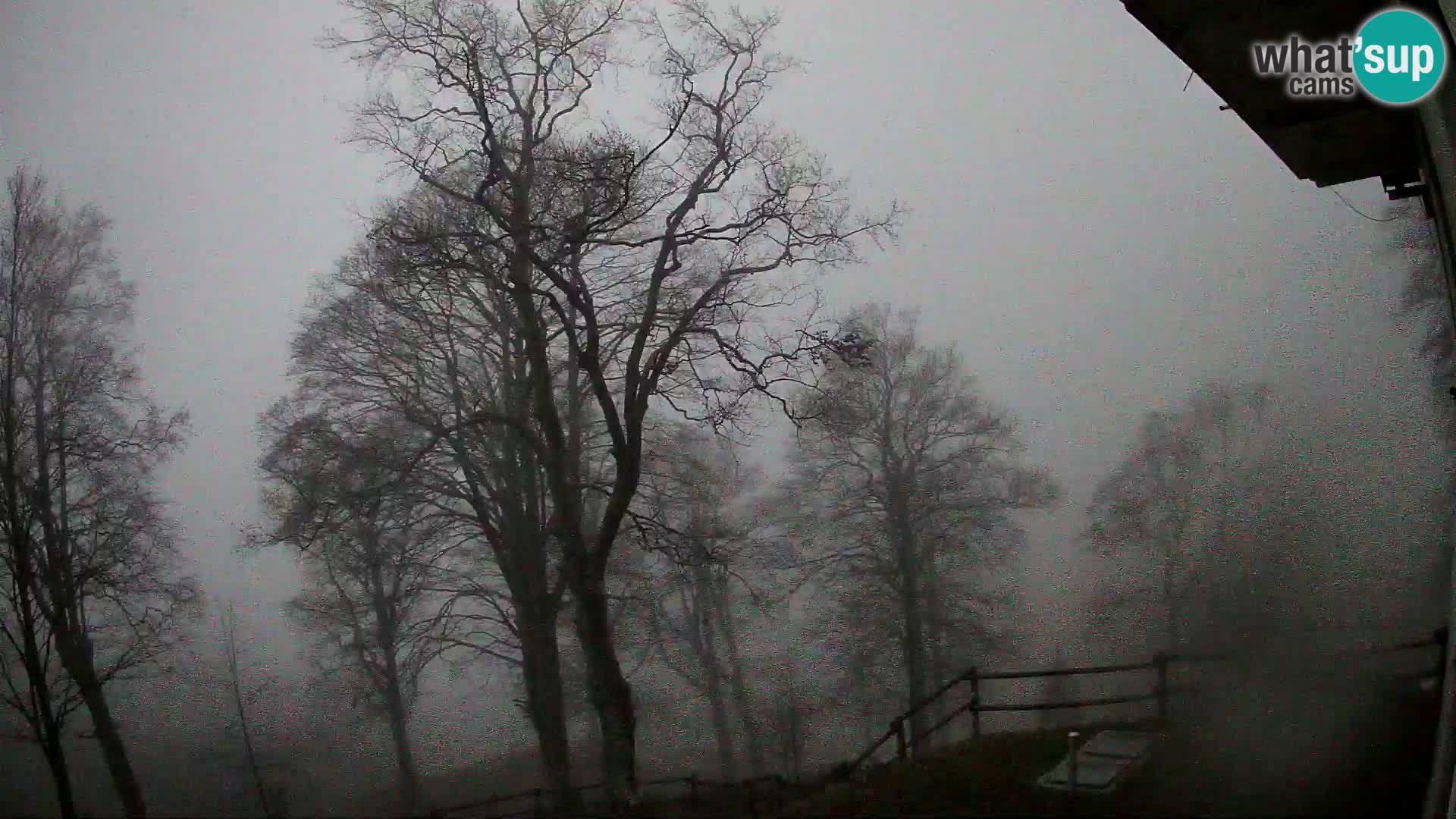 Planinarski dom na planini Razor (1315) | Pogled na Tolminski Migovec