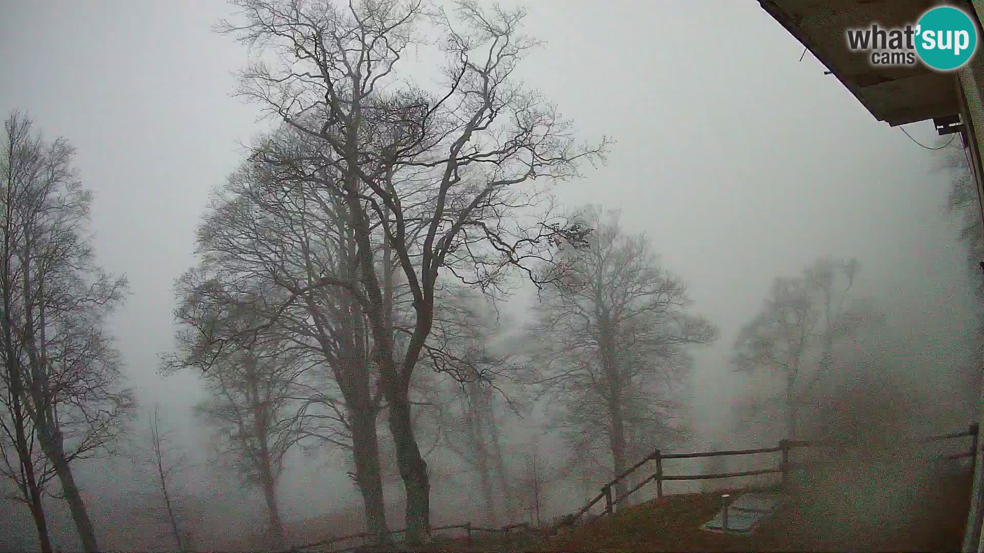 Planina Razor Bergütte Webcam (1315) | Blick auf Tolminski Migovec