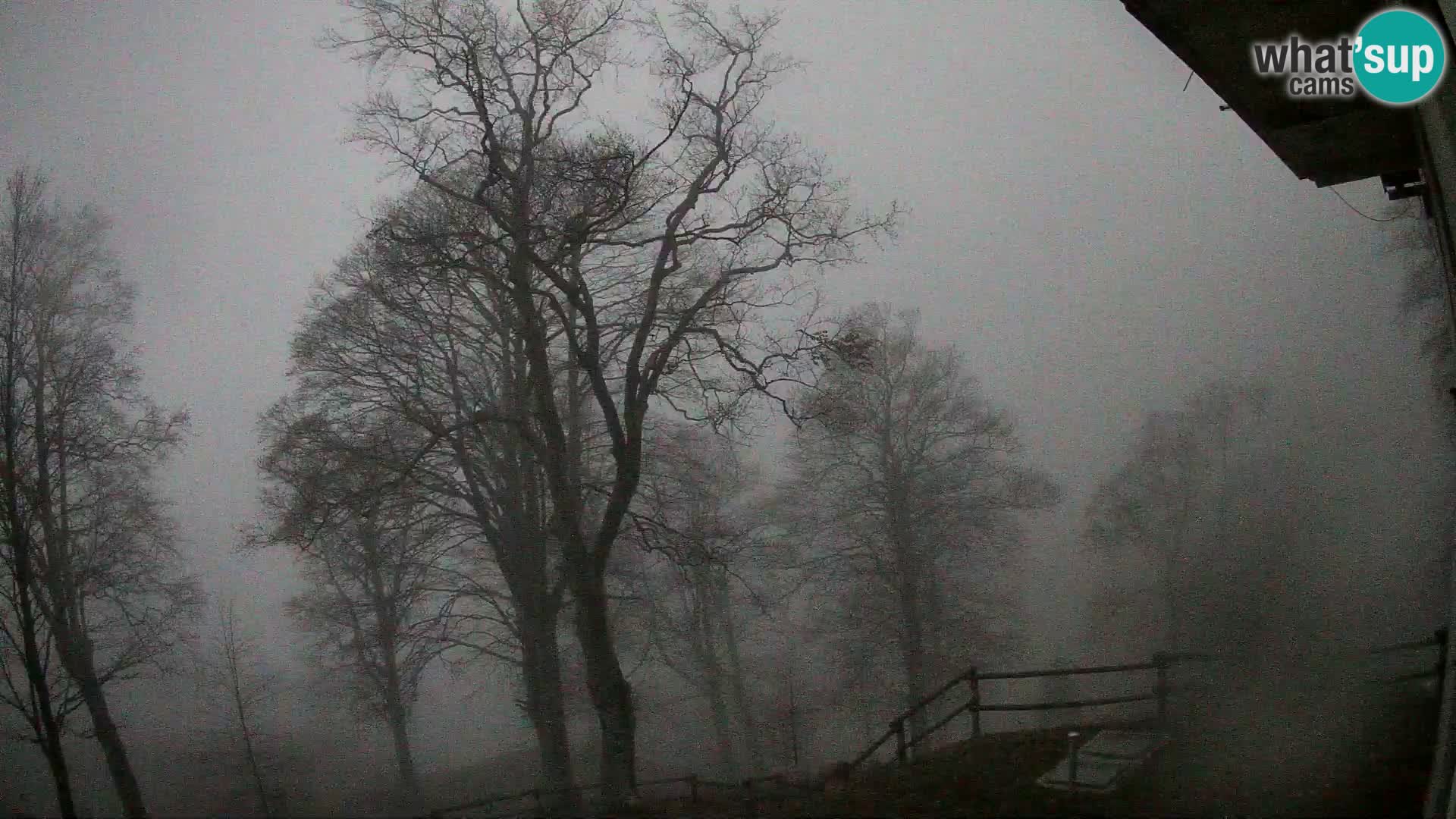 Cámara en vivo de la cabaña de montaña Planina Razor (1315) | vista hacia Tolminski Migovec