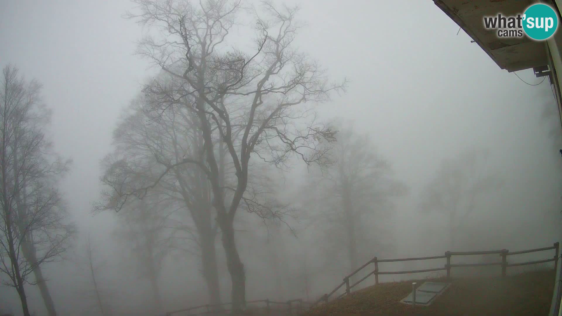 Baita di montagna Planina Razor webcam (1315) | vista su Tolminski Migovec