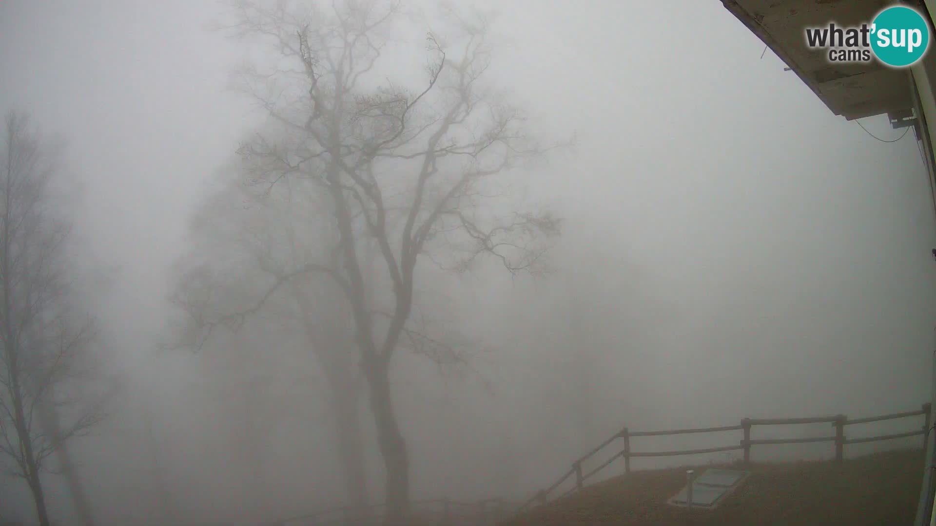 Cámara en vivo de la cabaña de montaña Planina Razor (1315) | vista hacia Tolminski Migovec