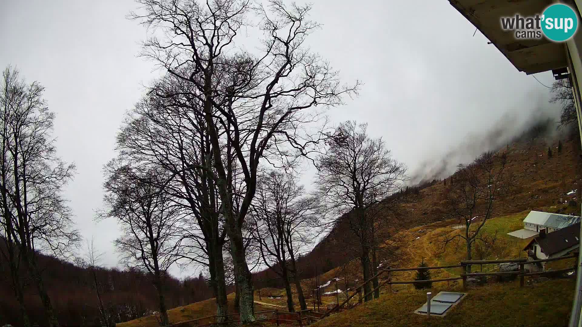 Planina Razor Mountain Hut live cam (1315) | view to Tolminski Migovec