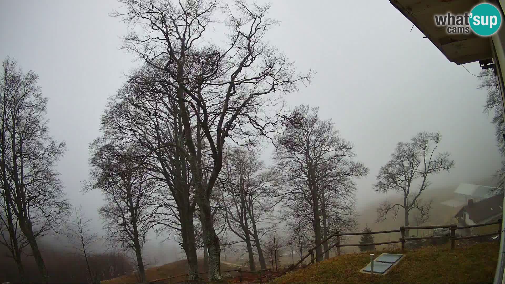 Baita di montagna Planina Razor webcam (1315) | vista su Tolminski Migovec