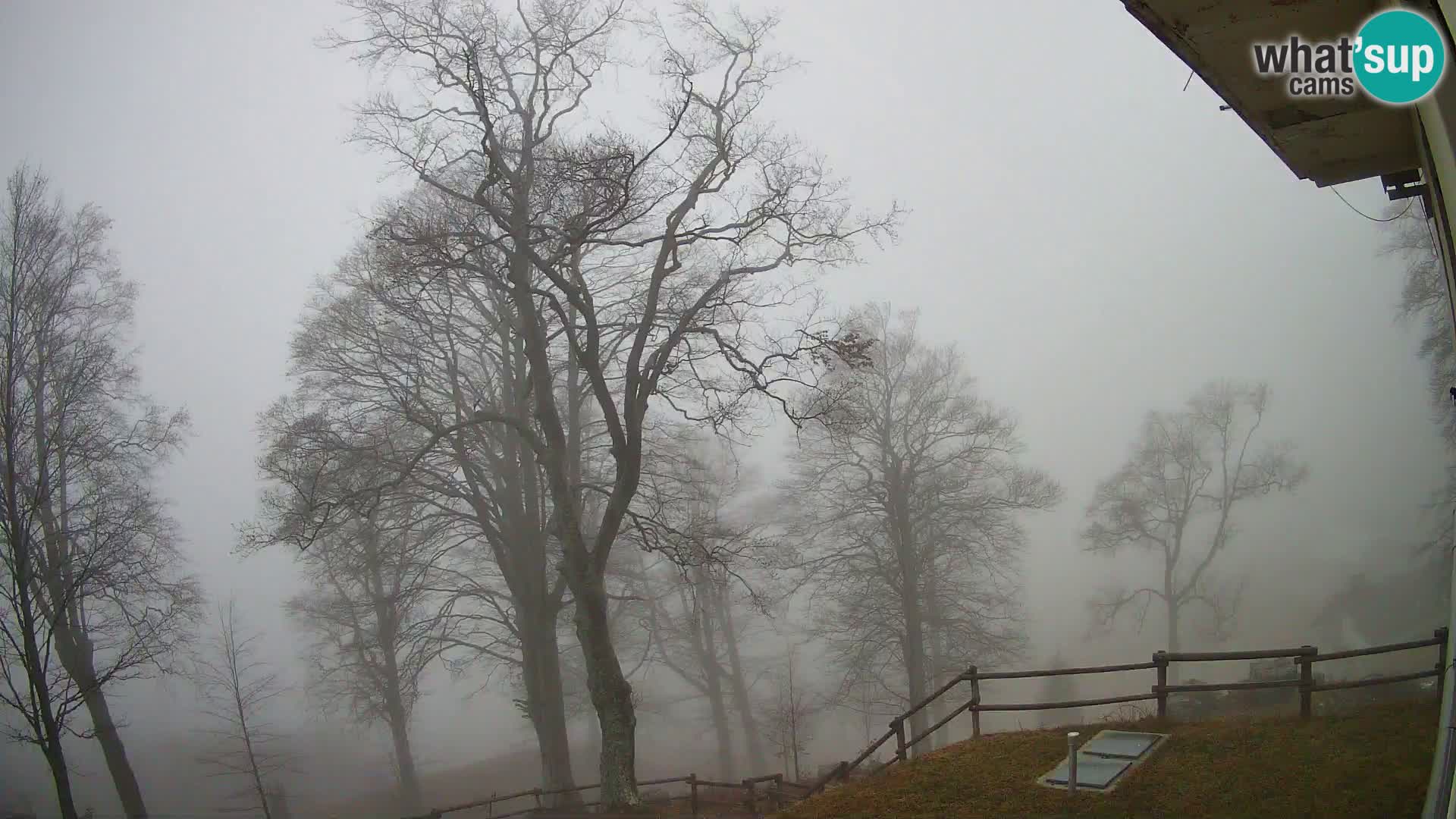 Refuge de la montagne Planina Razor caméra en direct (1315) | vue sur Tolminski Migovec