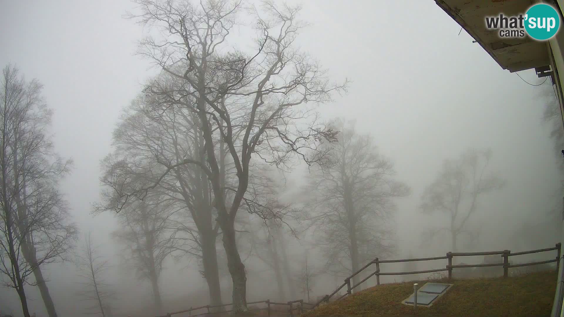 Planina Razor Mountain Hut live cam (1315) | view to Tolminski Migovec