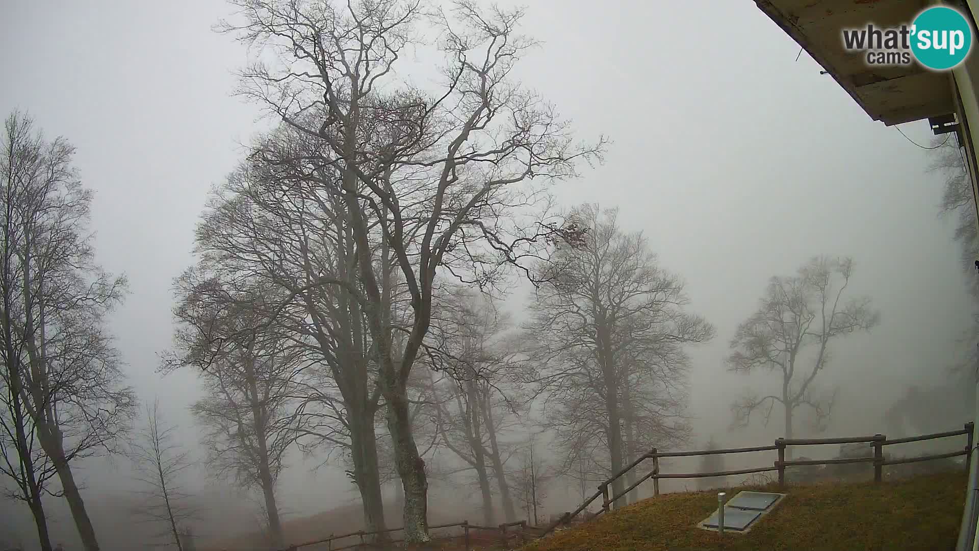 Planina Razor Bergütte Webcam (1315) | Blick auf Tolminski Migovec