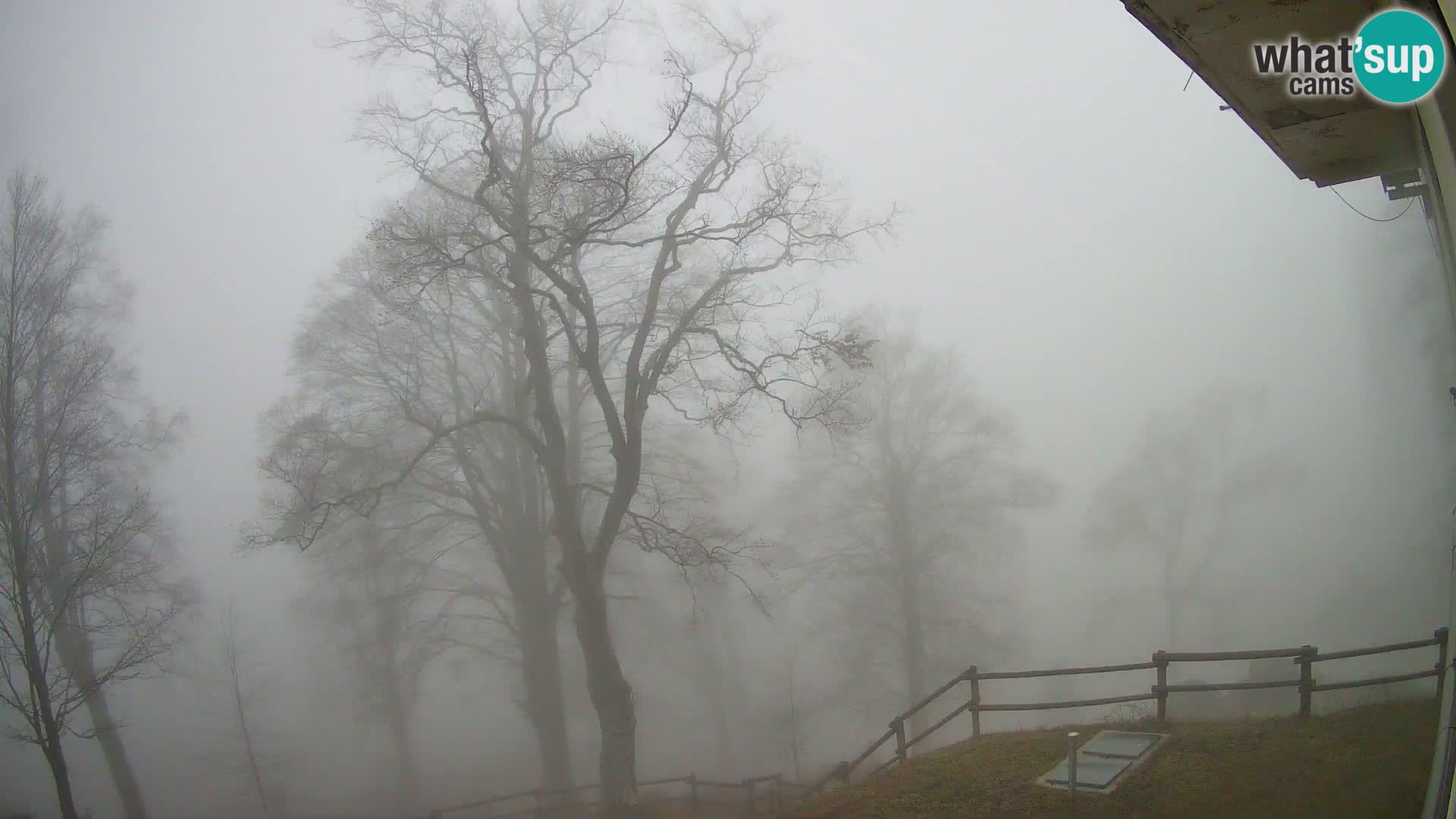 Cámara en vivo de la cabaña de montaña Planina Razor (1315) | vista hacia Tolminski Migovec