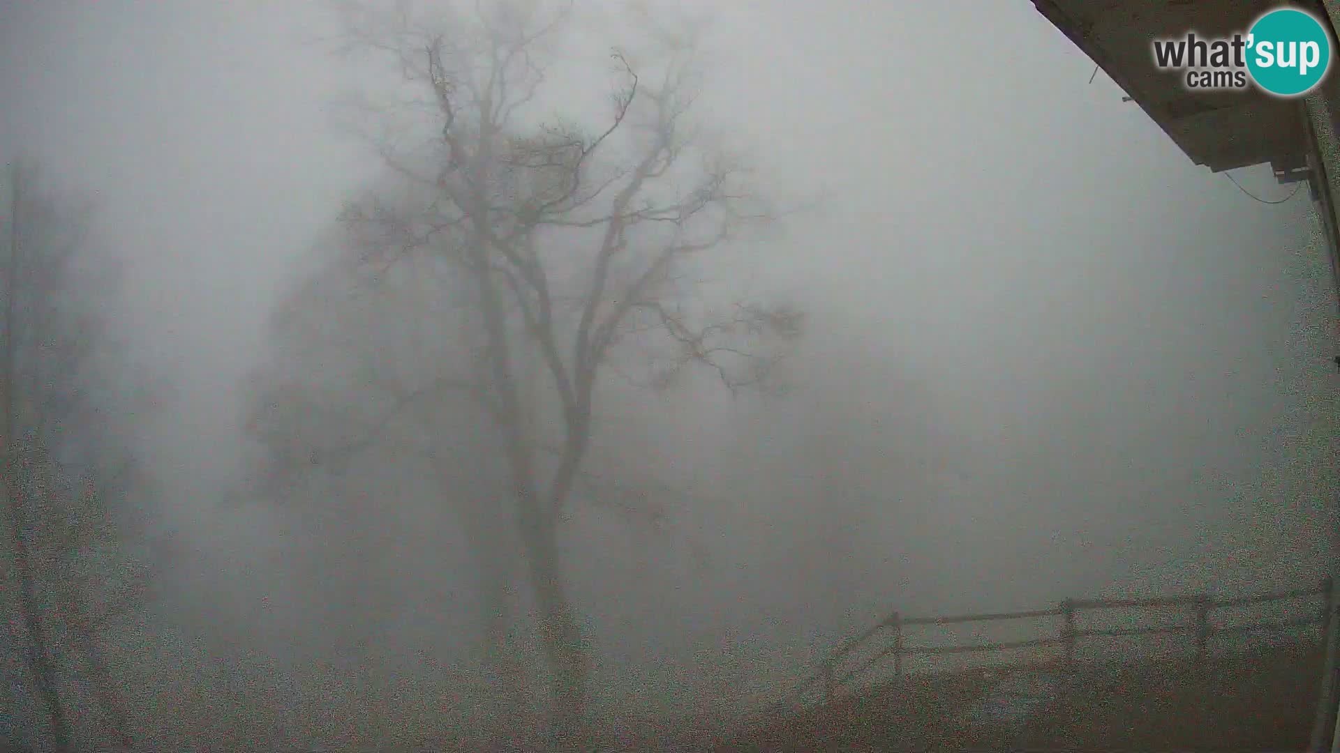 Baita di montagna Planina Razor webcam (1315) | vista su Tolminski Migovec