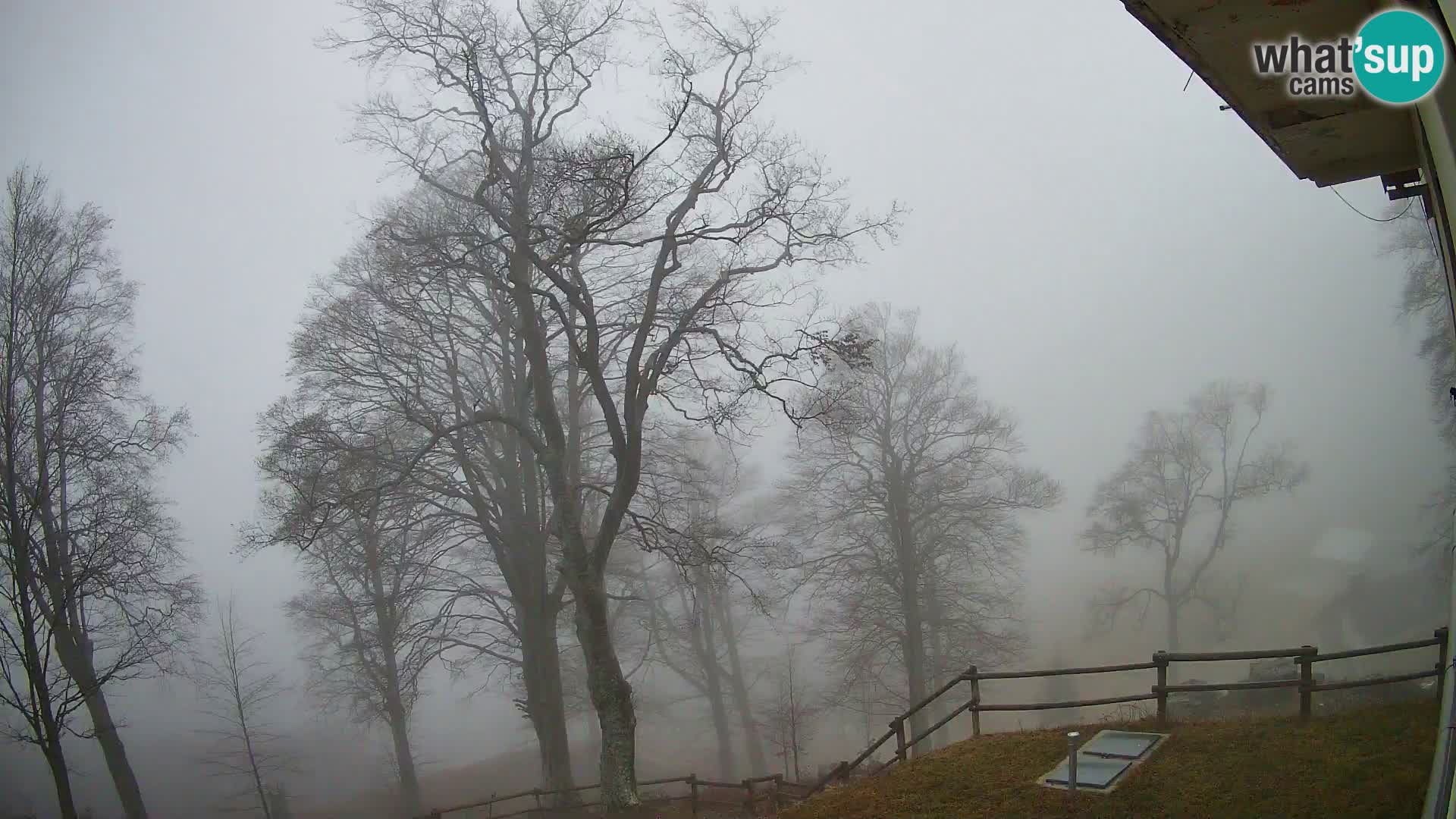 Planina Razor Mountain Hut live cam (1315) | view to Tolminski Migovec