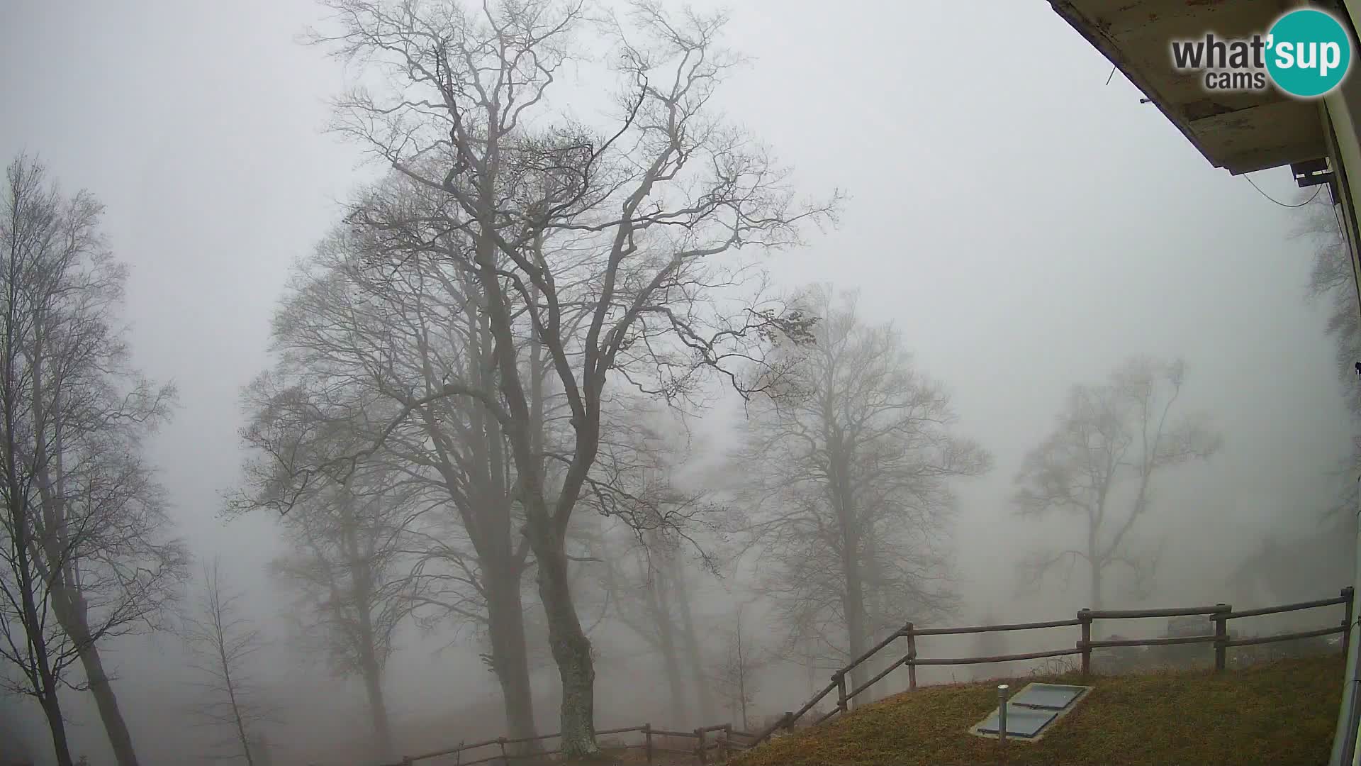 Planina Razor Bergütte Webcam (1315) | Blick auf Tolminski Migovec