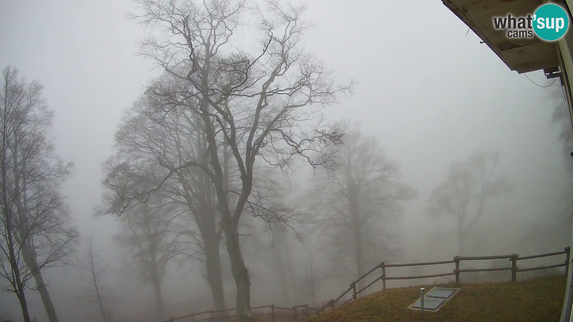 Planina Razor Mountain Hut live cam (1315) | view to Tolminski Migovec