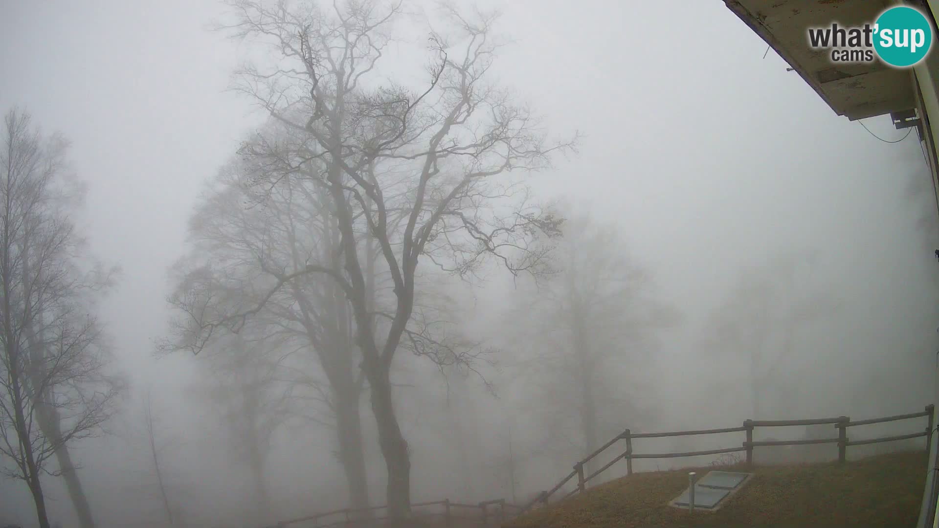 Cámara en vivo de la cabaña de montaña Planina Razor (1315) | vista hacia Tolminski Migovec