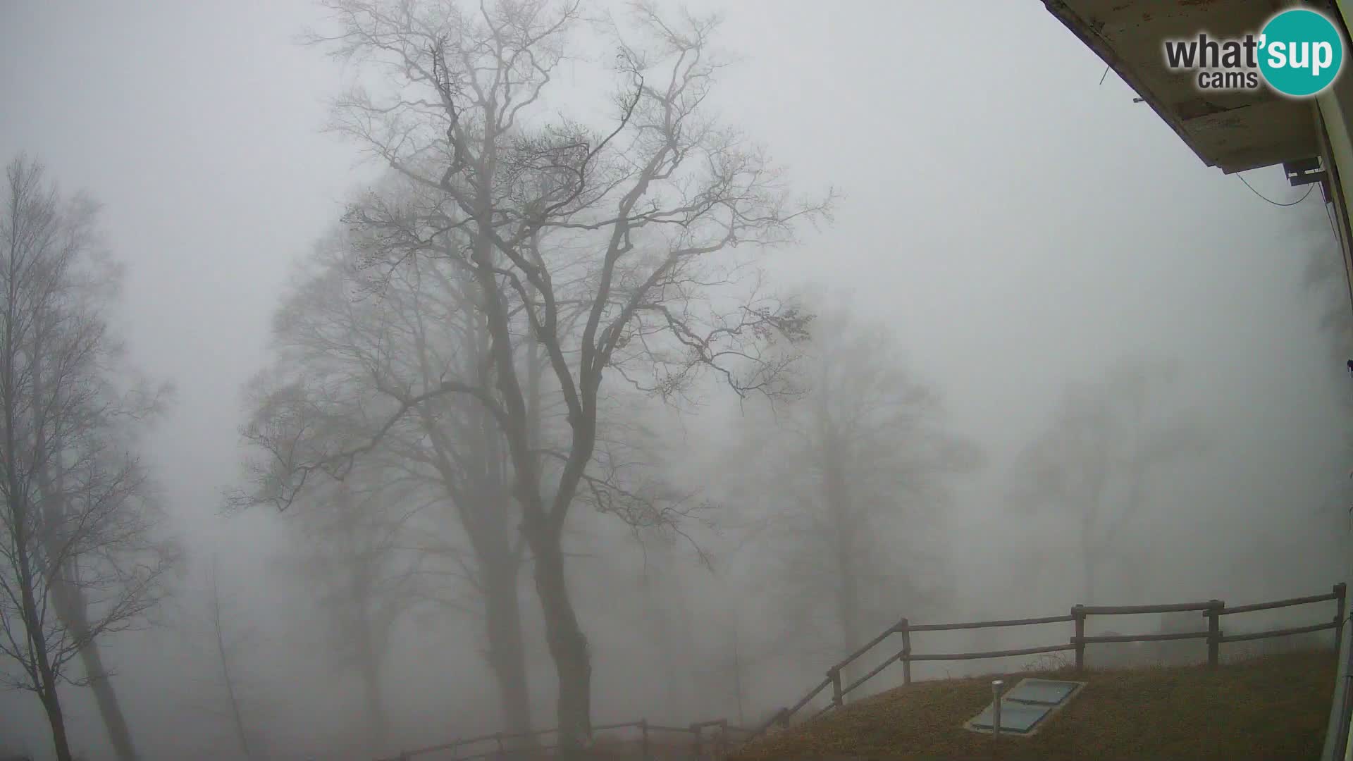 Refuge de la montagne Planina Razor caméra en direct (1315) | vue sur Tolminski Migovec
