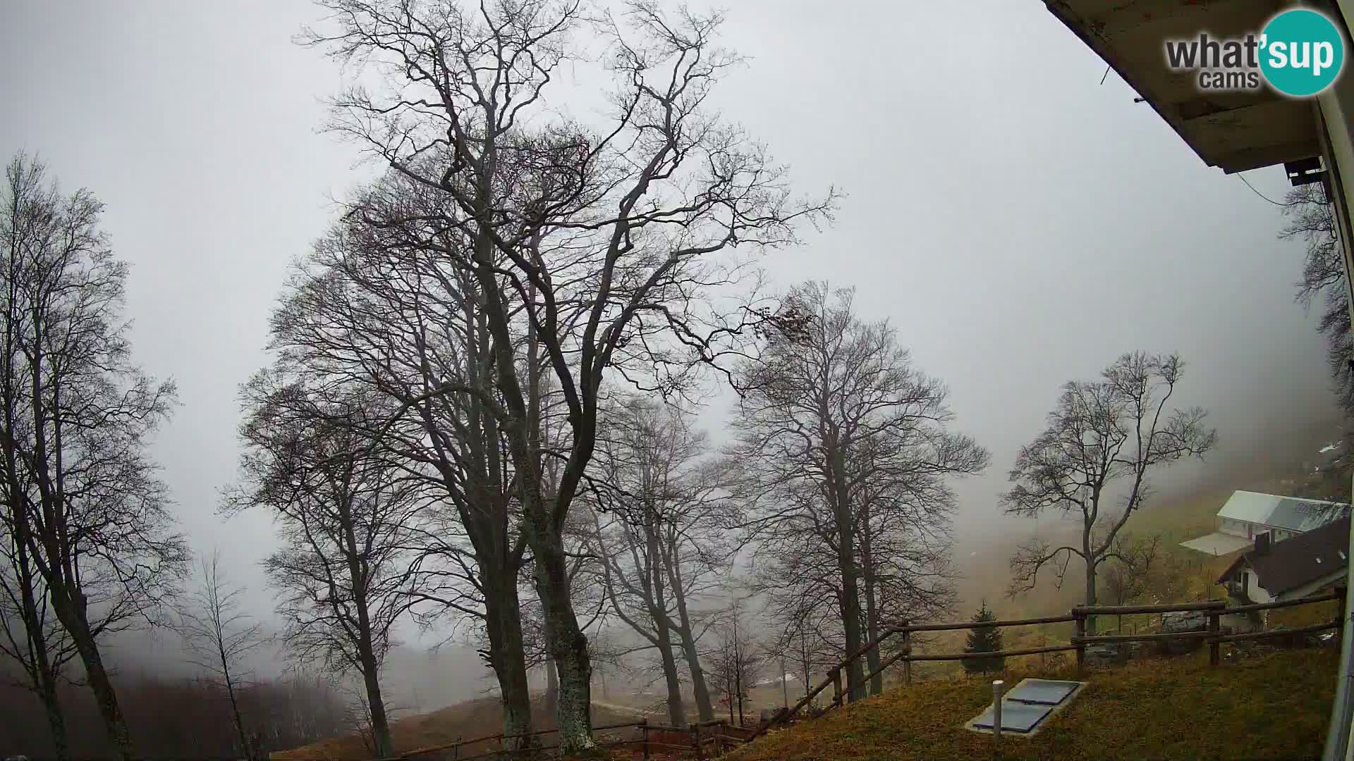 Planina Razor Mountain Hut live cam (1315) | view to Tolminski Migovec