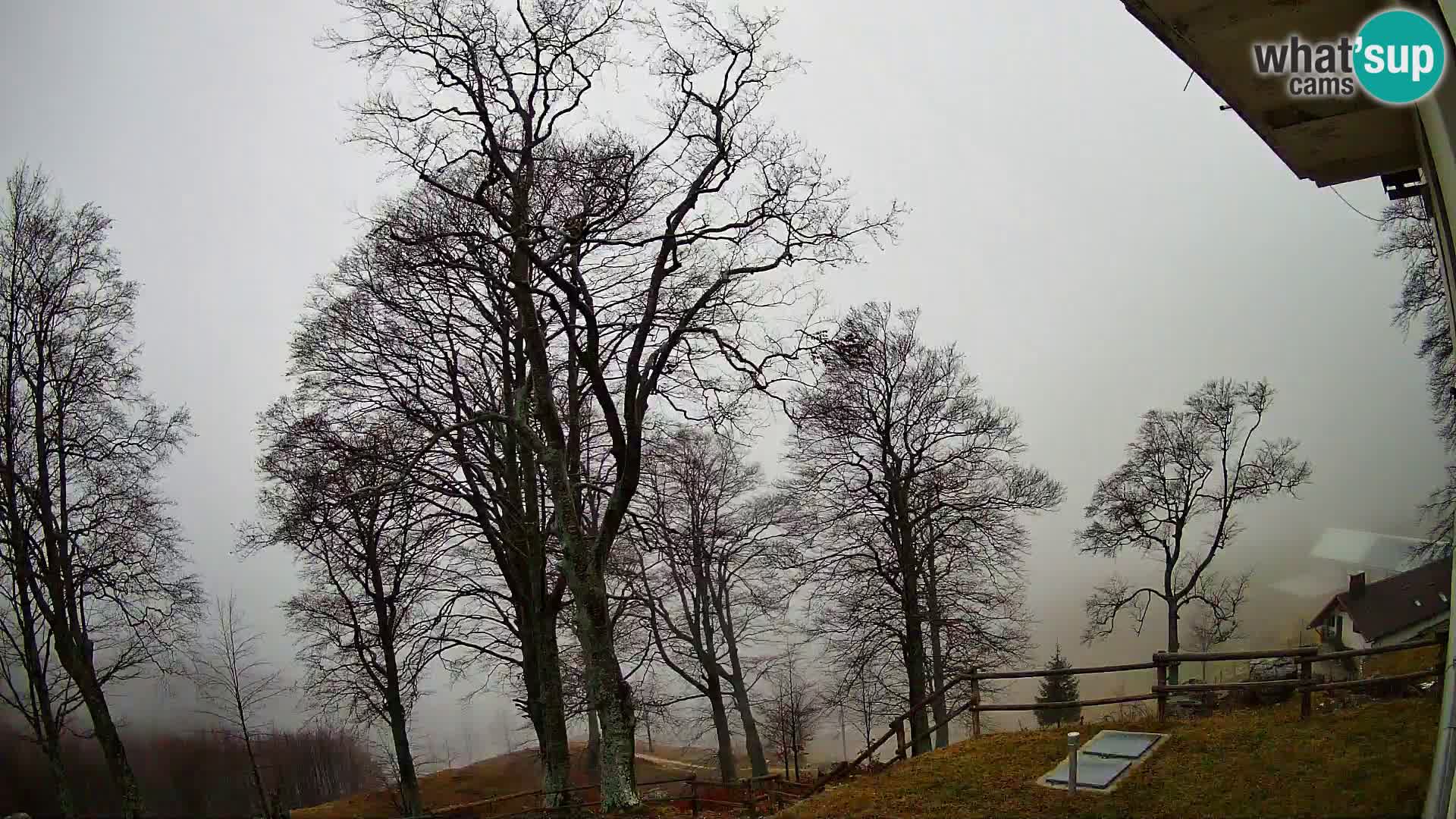 Planina Razor Bergütte Webcam (1315) | Blick auf Tolminski Migovec