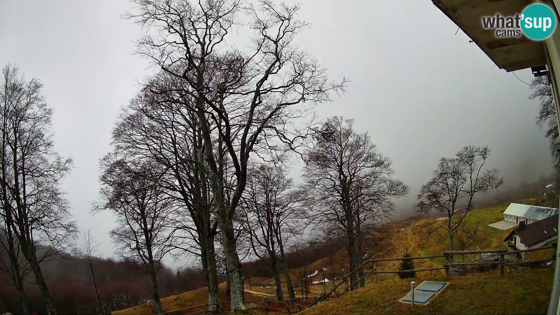 Planina Razor Mountain Hut live cam (1315) | view to Tolminski Migovec