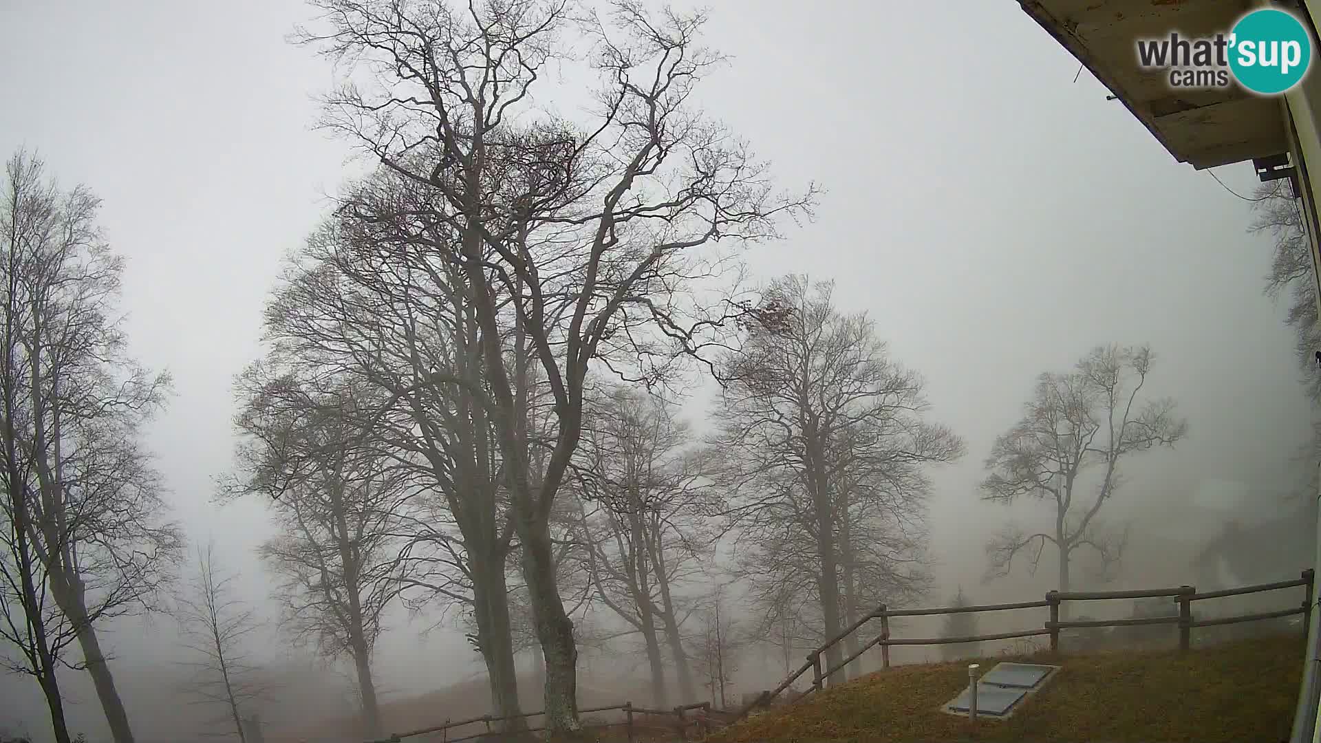 Planina Razor Mountain Hut live cam (1315) | view to Tolminski Migovec