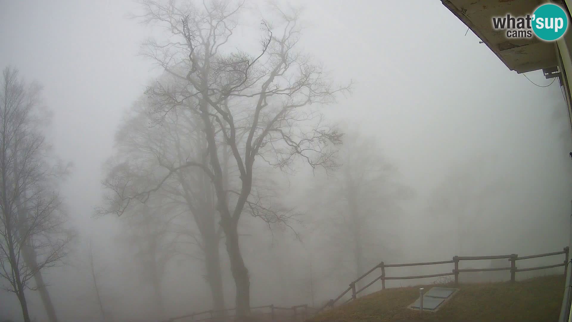 Baita di montagna Planina Razor webcam (1315) | vista su Tolminski Migovec