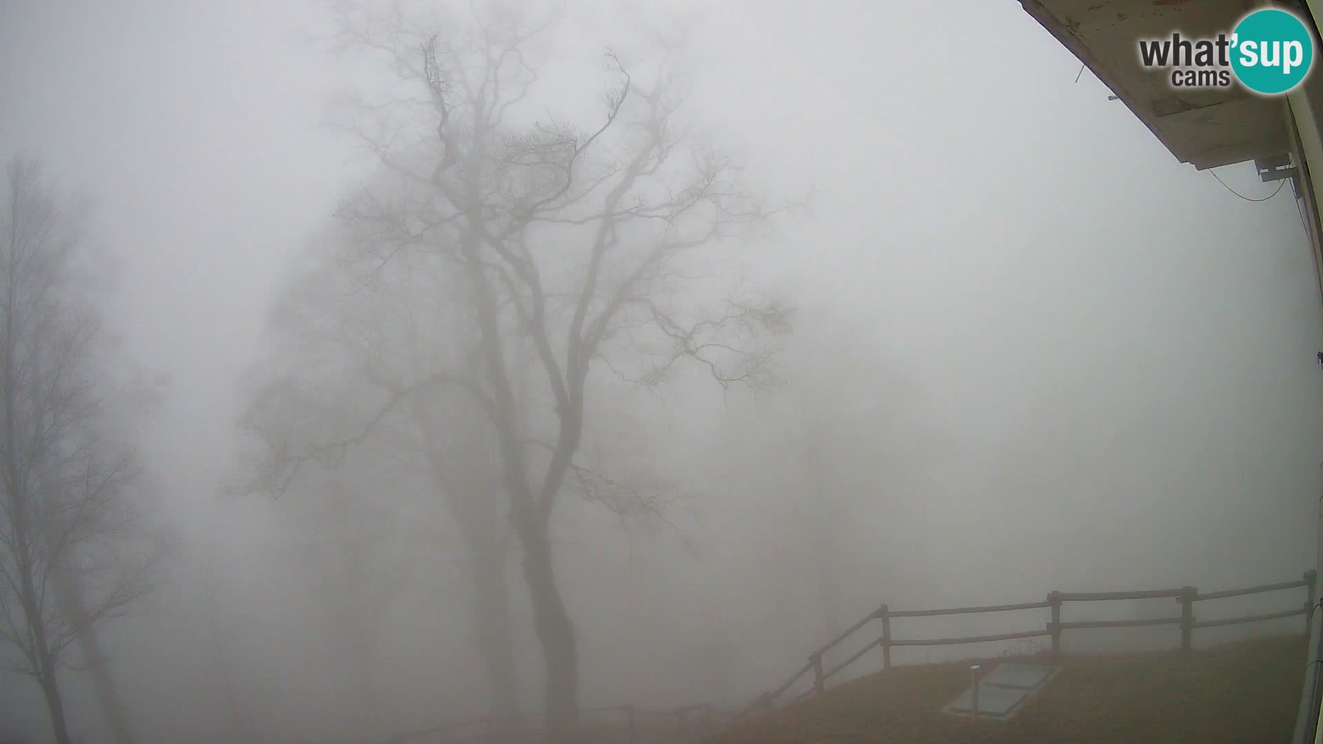 Cámara en vivo de la cabaña de montaña Planina Razor (1315) | vista hacia Tolminski Migovec