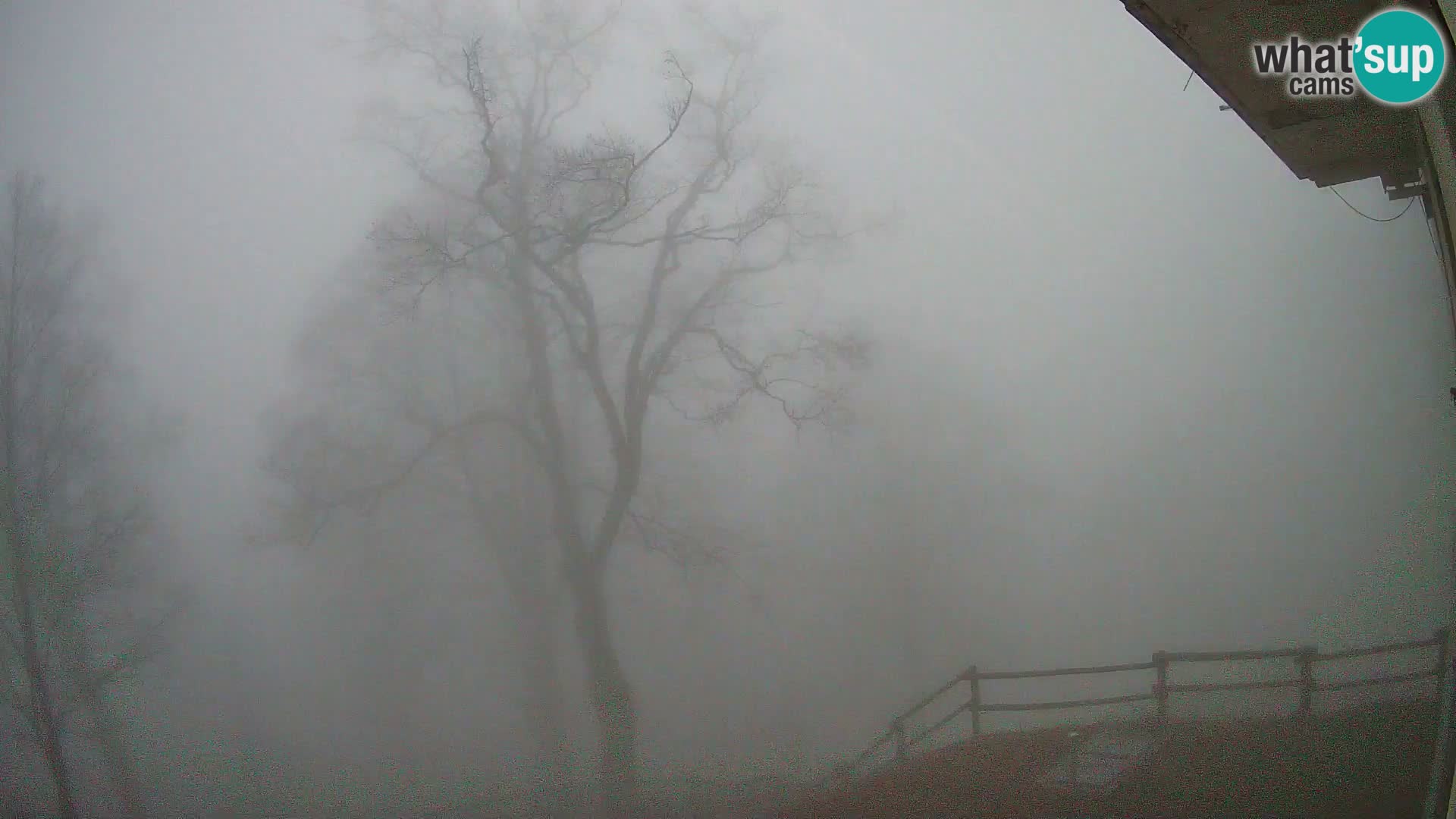 Cámara en vivo de la cabaña de montaña Planina Razor (1315) | vista hacia Tolminski Migovec