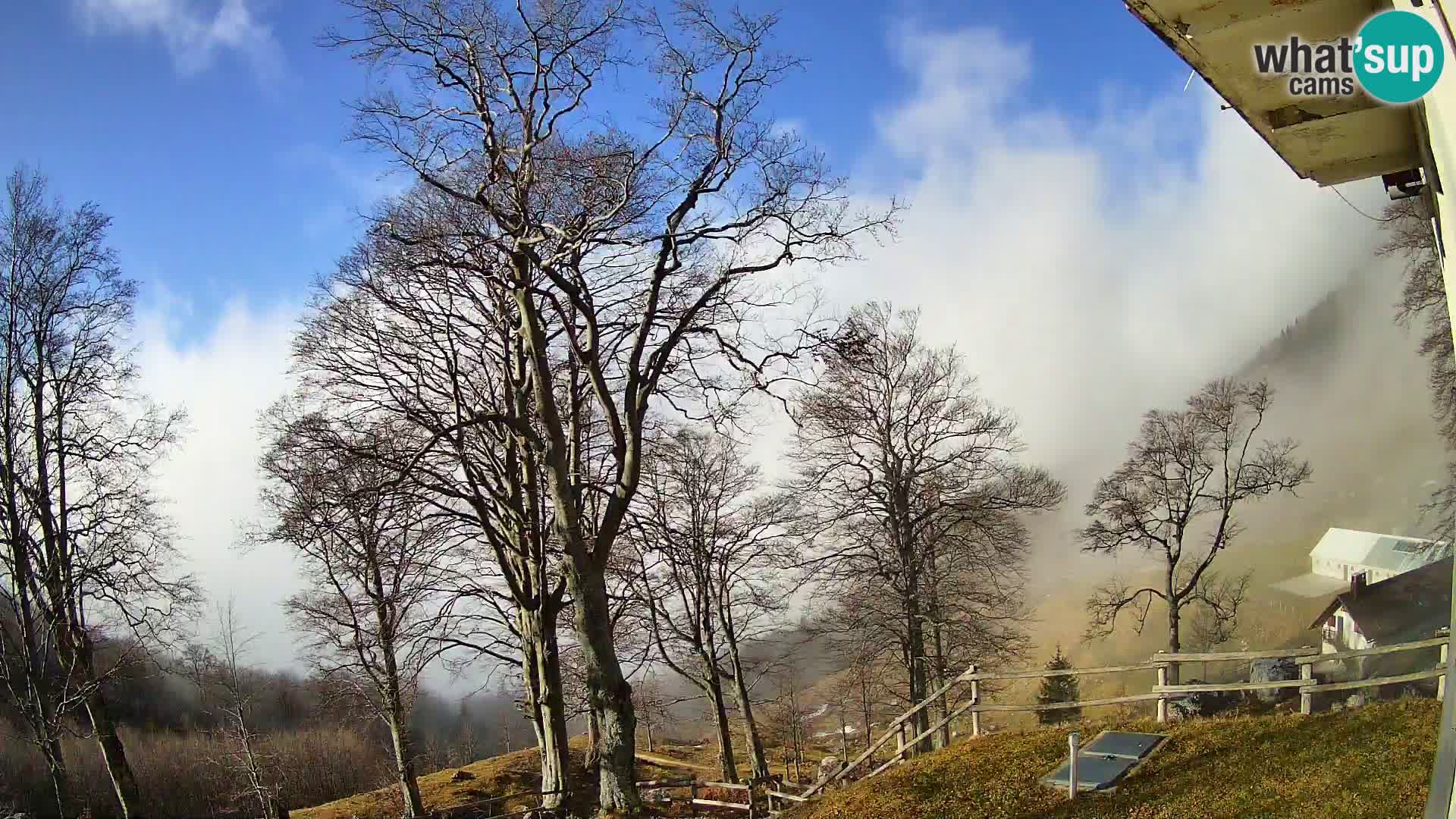 Baita di montagna Planina Razor webcam (1315) | vista su Tolminski Migovec