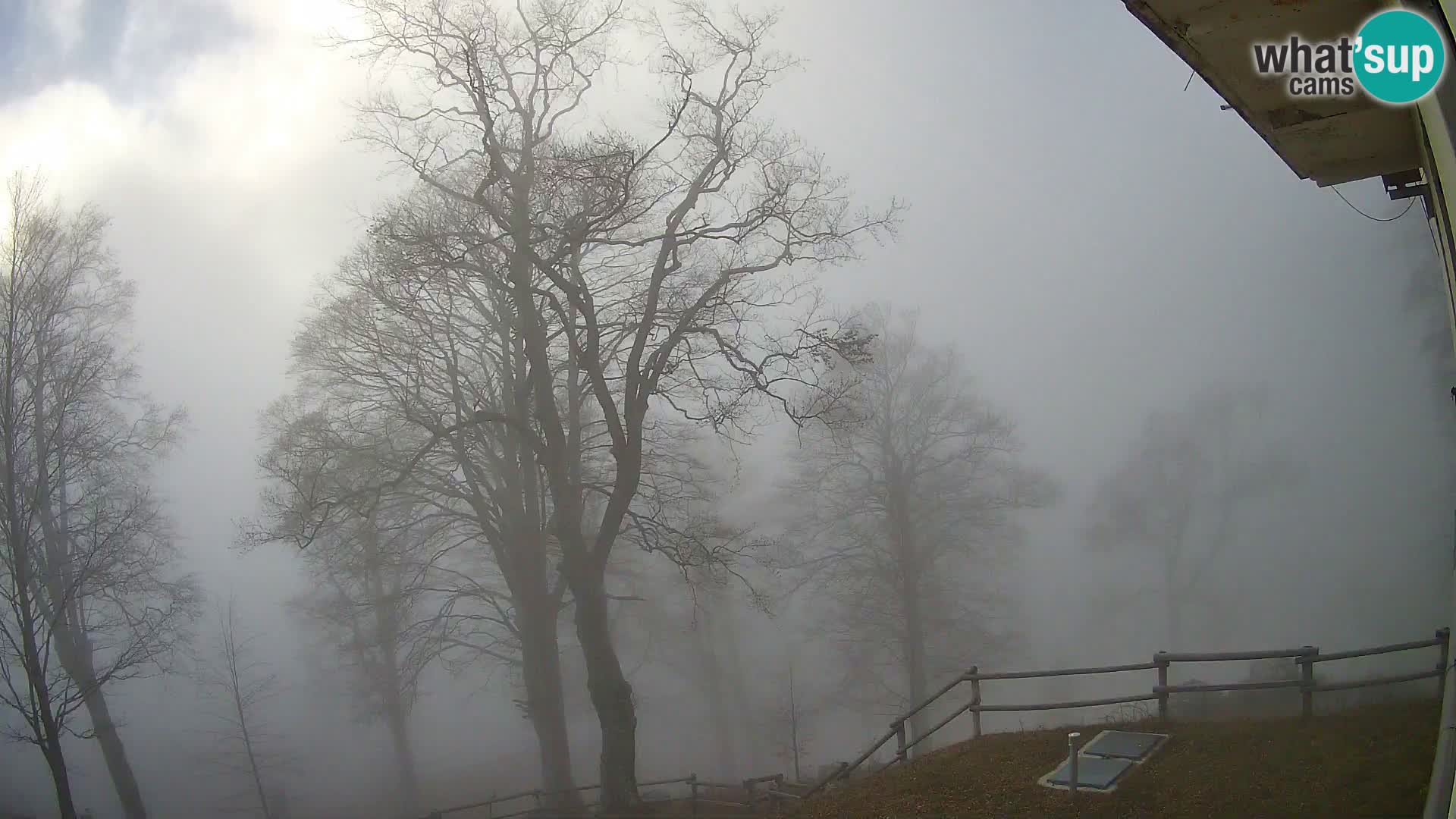 Baita di montagna Planina Razor webcam (1315) | vista su Tolminski Migovec