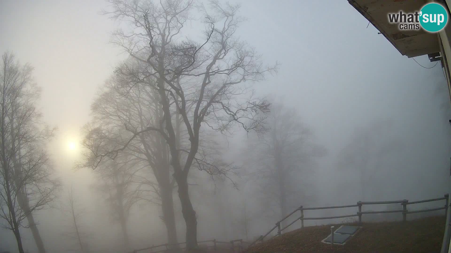 Baita di montagna Planina Razor webcam (1315) | vista su Tolminski Migovec