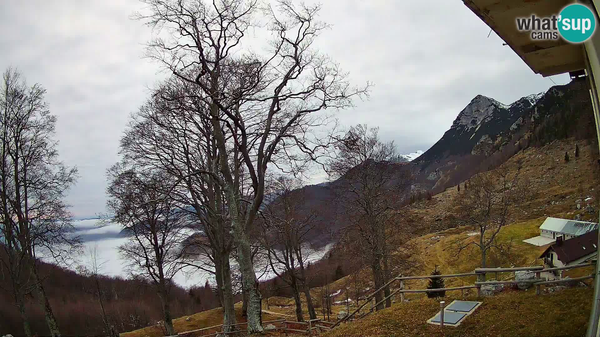 Planina Razor Bergütte Webcam (1315) | Blick auf Tolminski Migovec