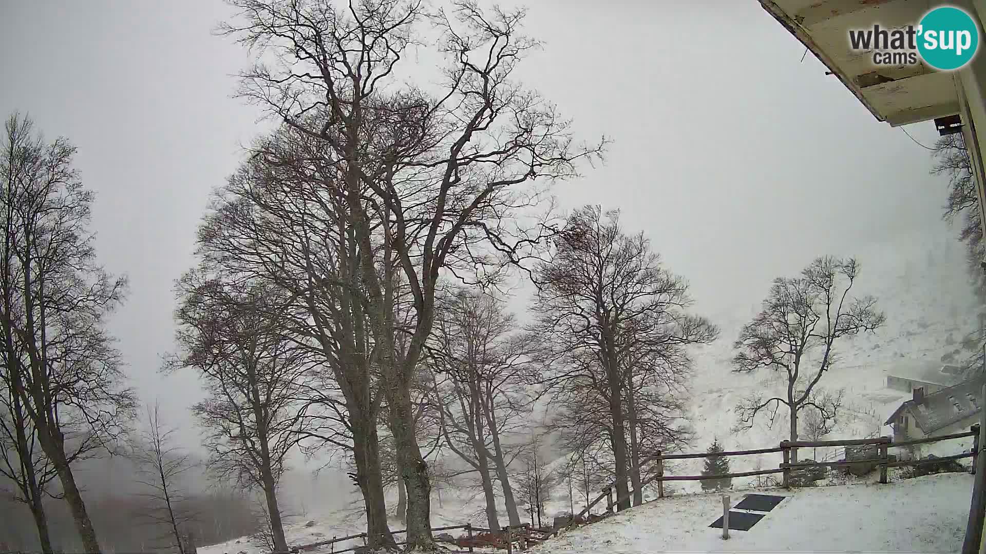 Planina Razor Mountain Hut live cam (1315) | view to Tolminski Migovec