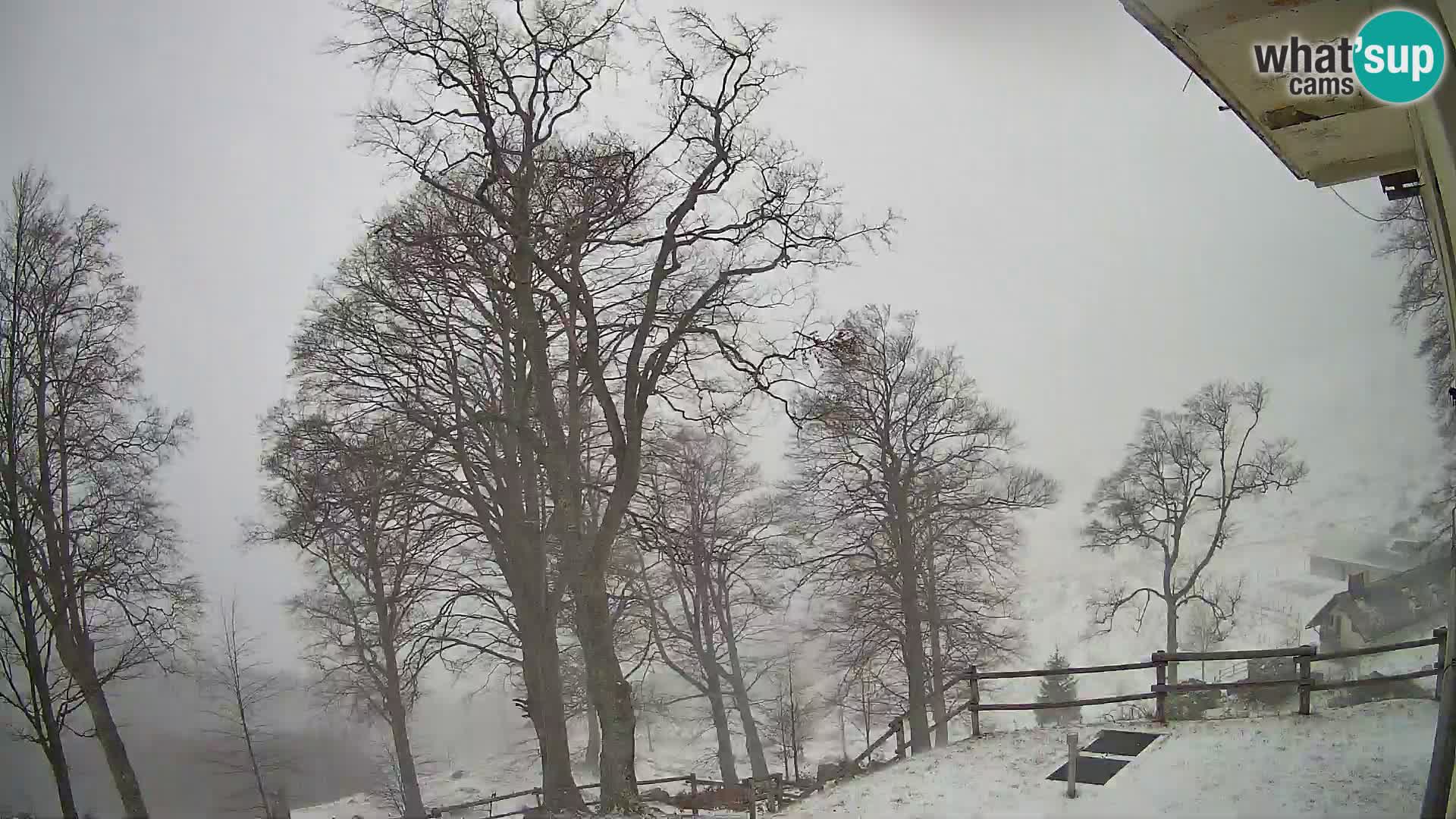 Planina Razor Mountain Hut live cam (1315) | view to Tolminski Migovec