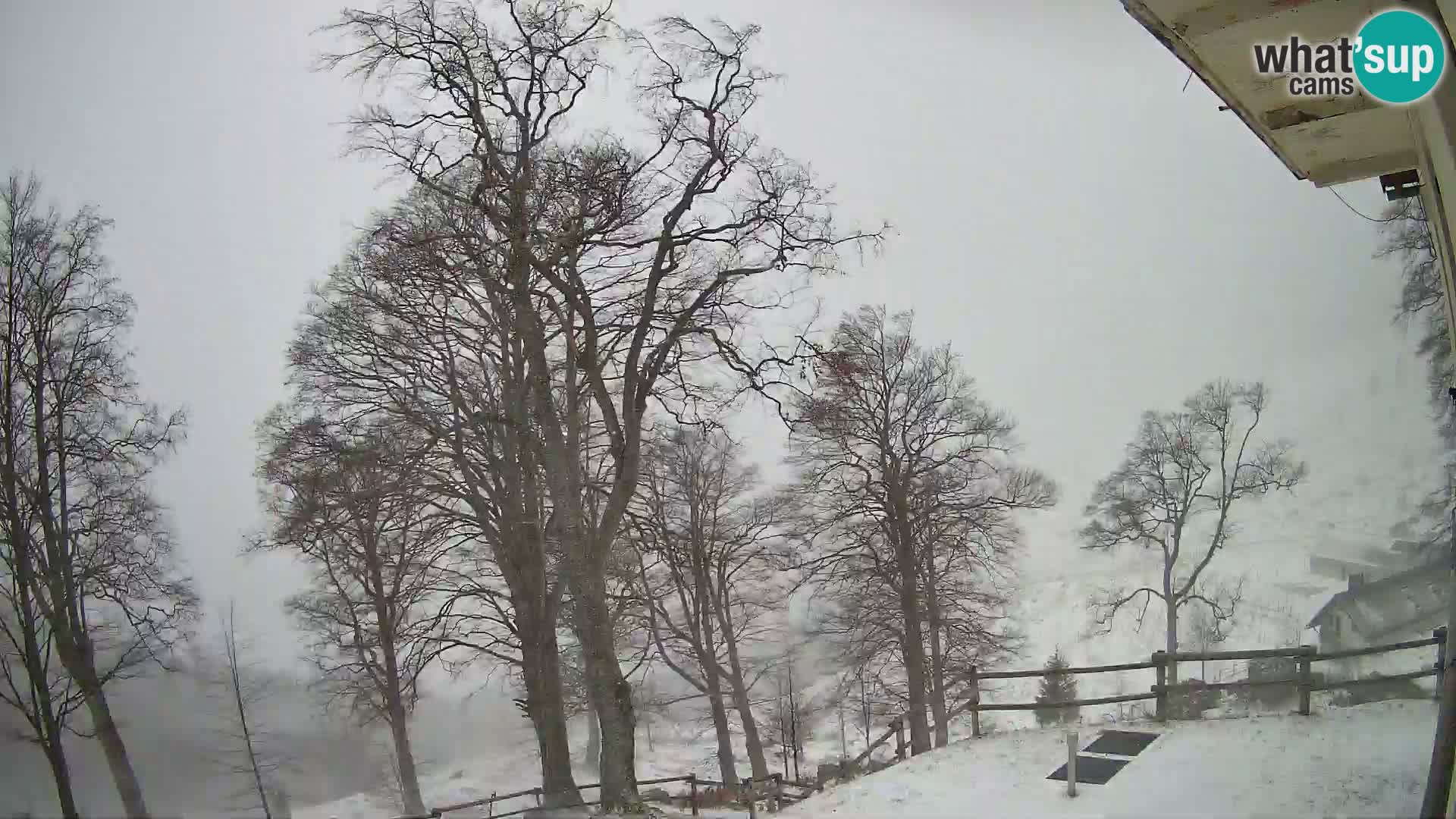 Planina Razor Mountain Hut live cam (1315) | view to Tolminski Migovec