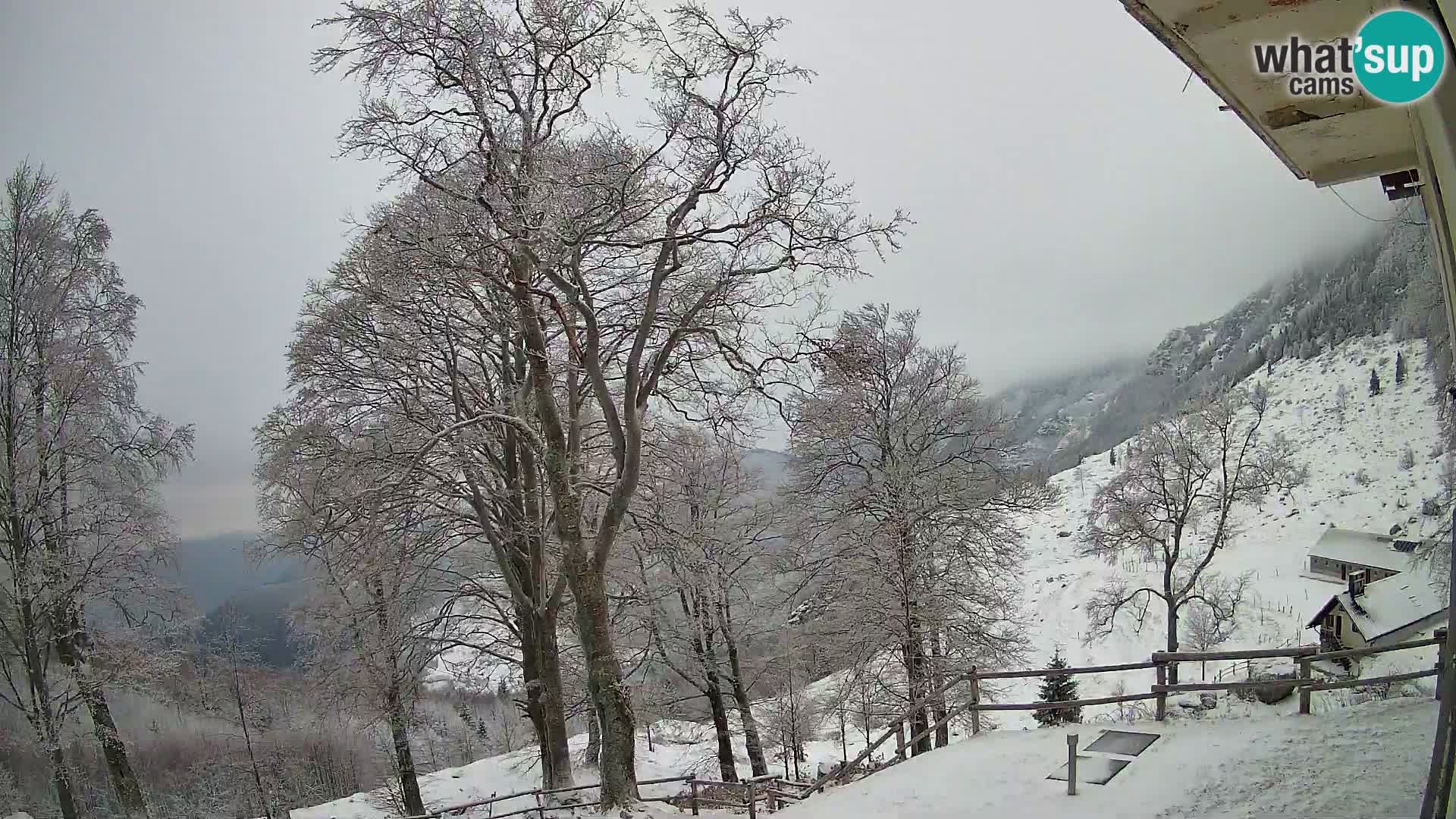 Baita di montagna Planina Razor webcam (1315) | vista su Tolminski Migovec