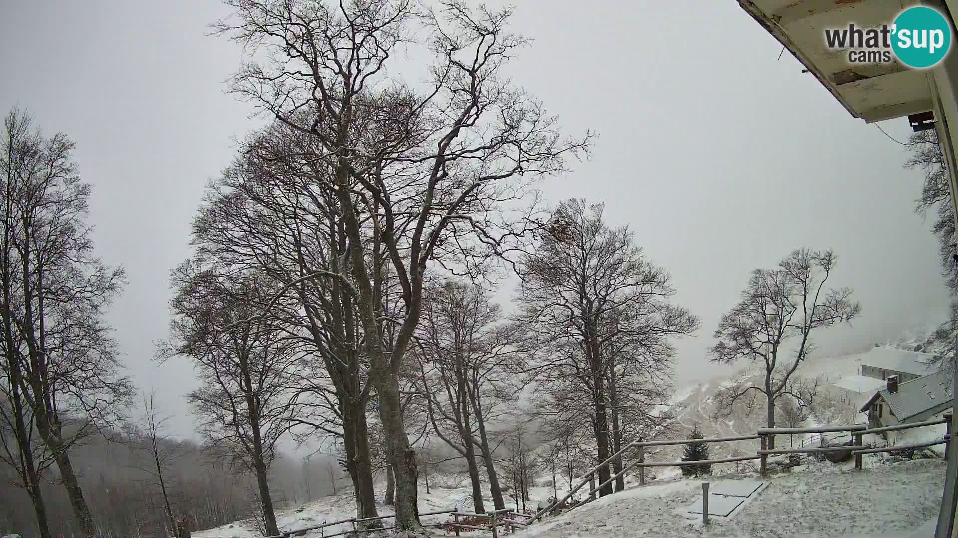 Baita di montagna Planina Razor webcam (1315) | vista su Tolminski Migovec