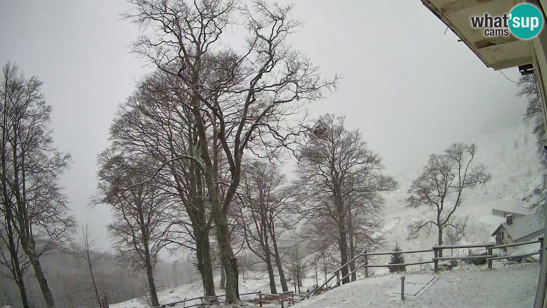 Koča na Planini Razor spletna kamera (1315) | Pogled na Tolminski Migovec