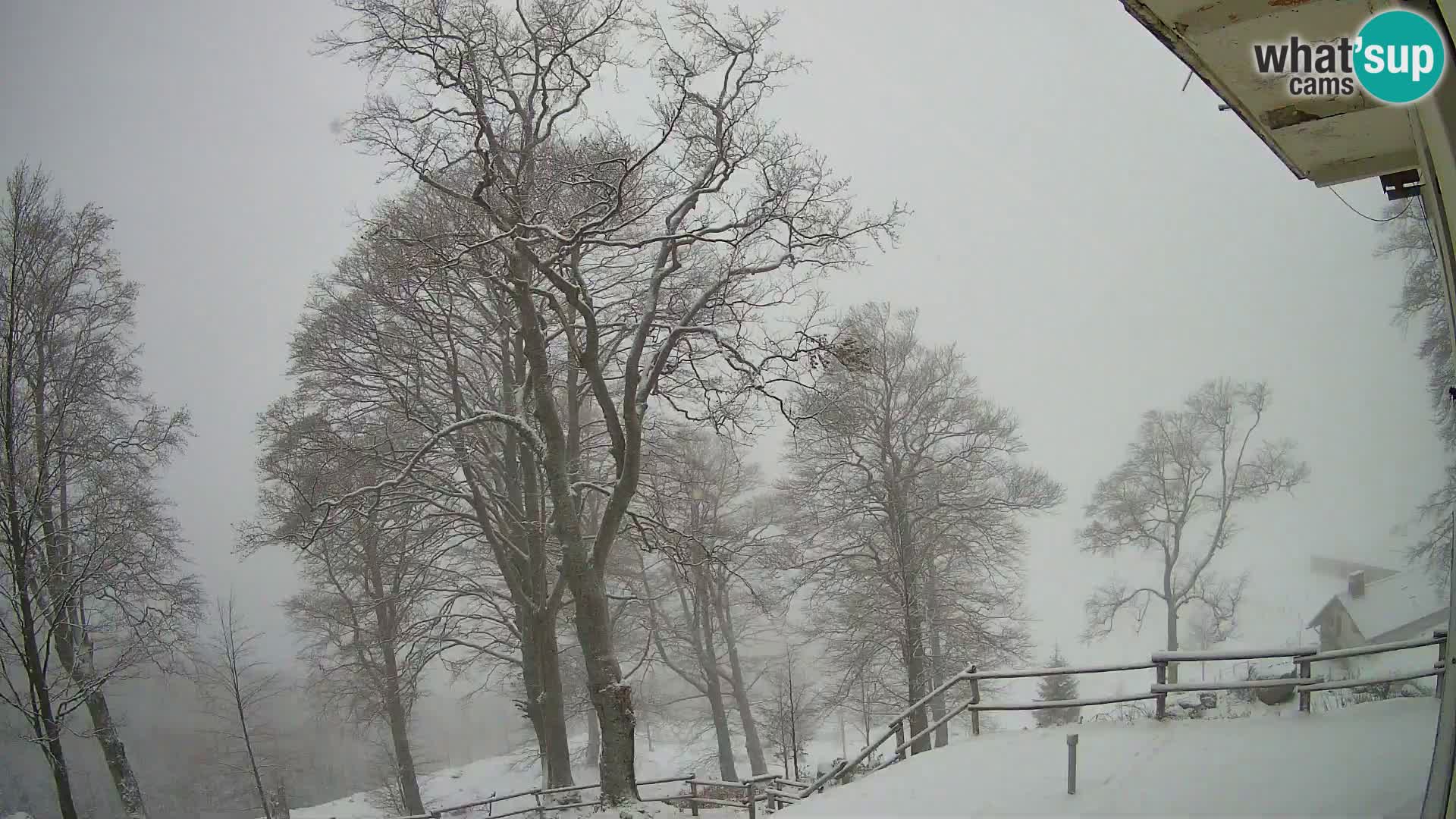 Koča na Planini Razor spletna kamera (1315) | Pogled na Tolminski Migovec