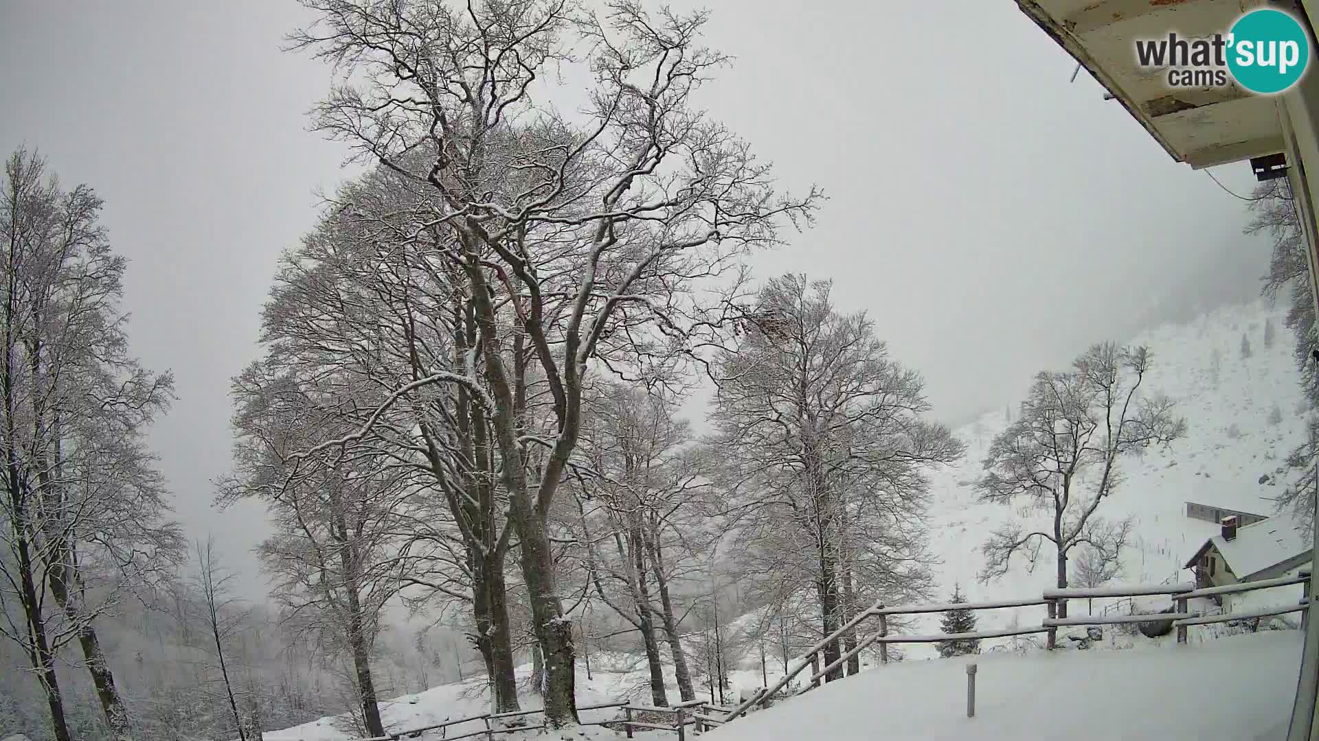 Cámara en vivo de la cabaña de montaña Planina Razor (1315) | vista hacia Tolminski Migovec