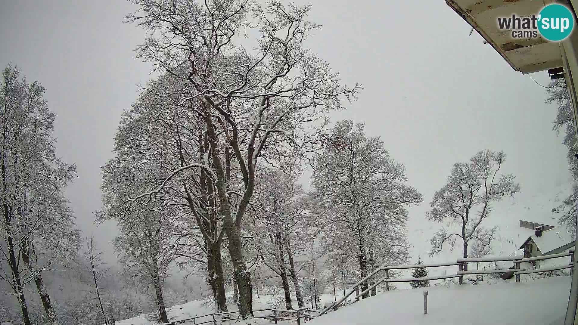 Planinarski dom na planini Razor (1315) | Pogled na Tolminski Migovec