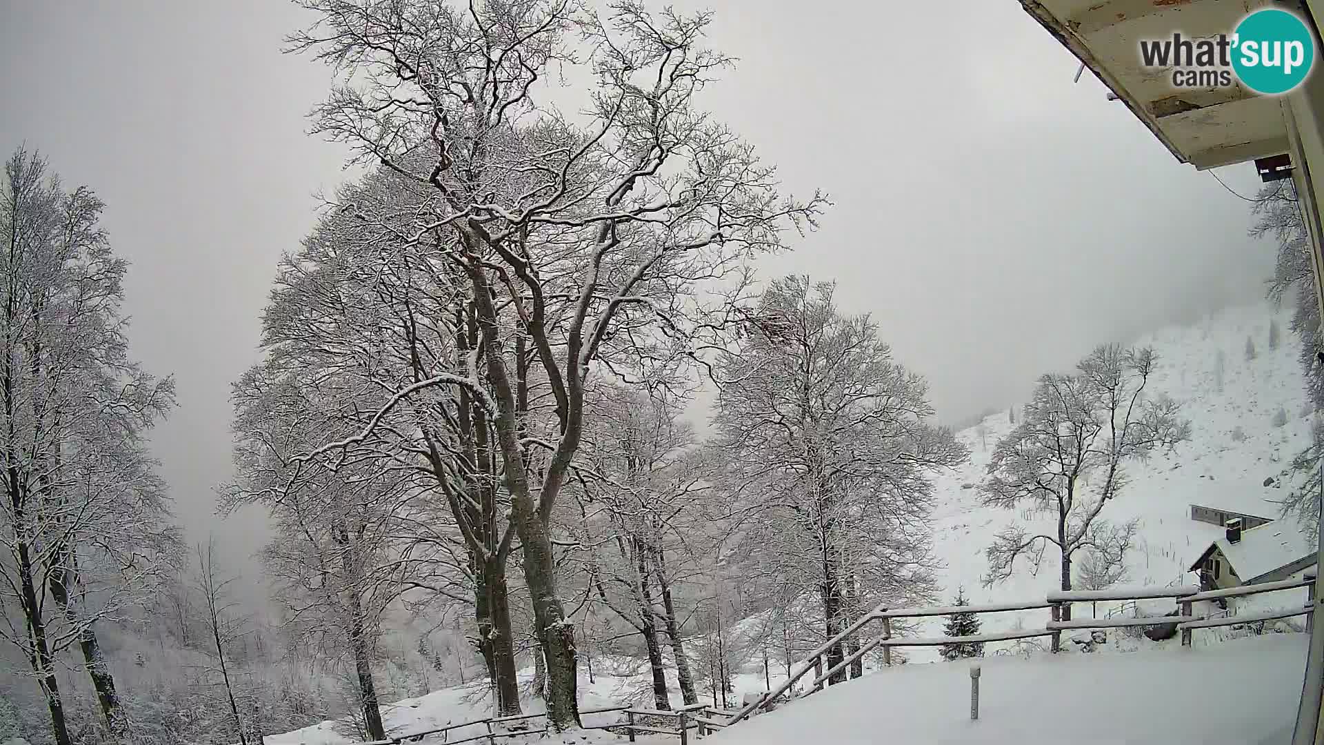 Planinarski dom na planini Razor (1315) | Pogled na Tolminski Migovec